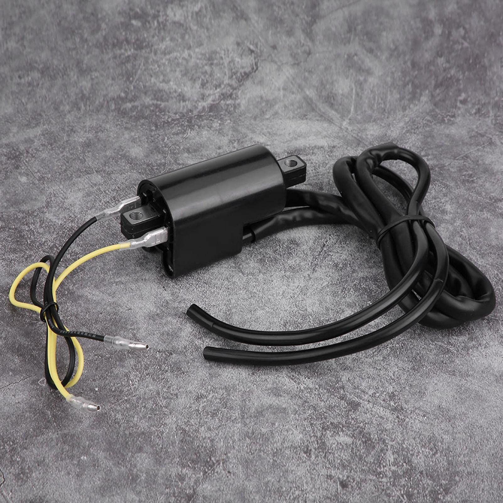 Bobina accensione Moto Compatibile Gsf400 600 1200 Bandit | Sostituzione affidabile, Facile installazione, Compatibile Gsf400, Gsf600, Gsf1200, Materiale Resistente, per Motociclisti