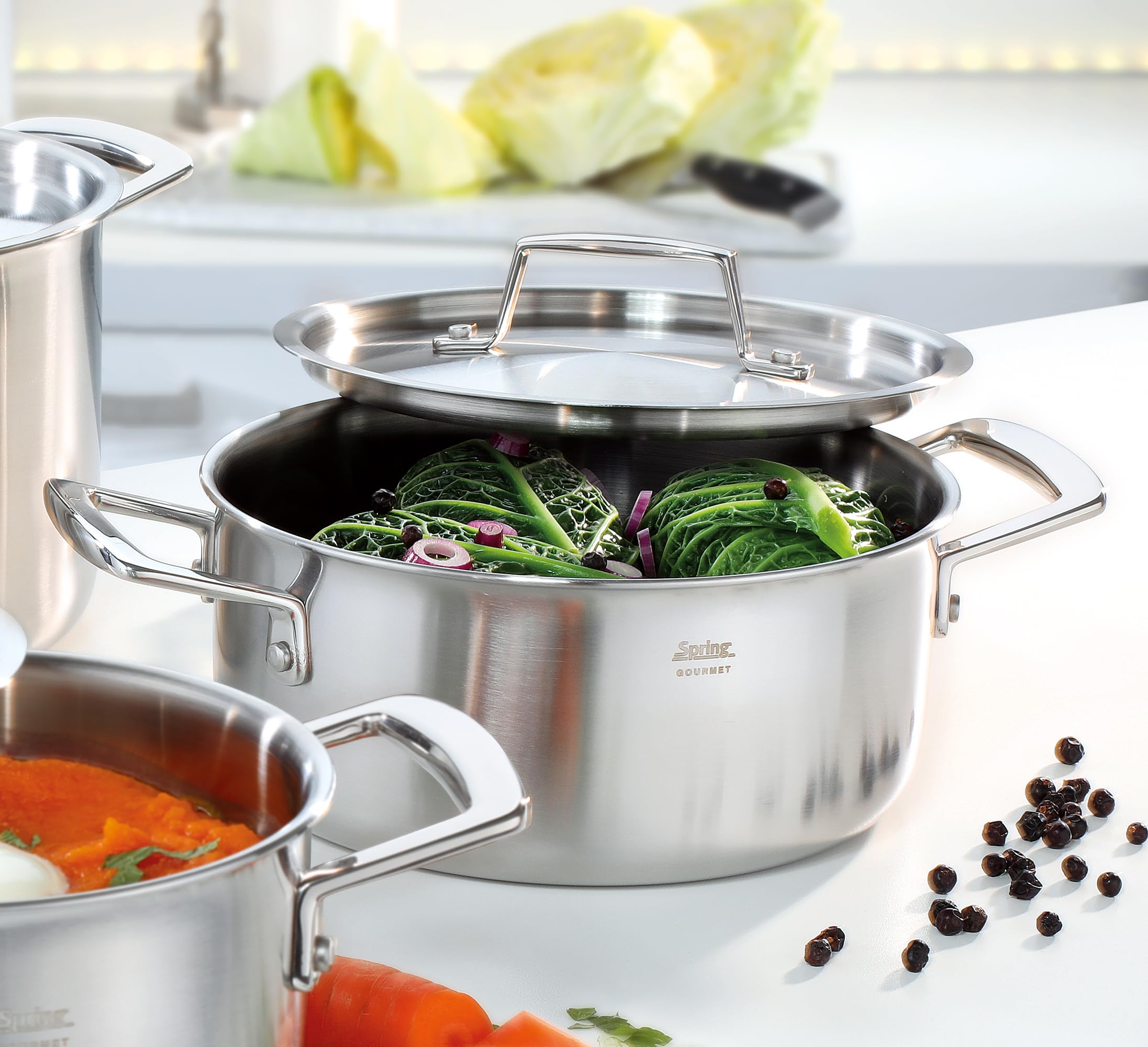 Spring GOURMET garnek do pieczenia z pokrywką Ø 20 cm, 2,7 l, stal nierdzewna, nadaje się do płyt indukcyjnych, nadaje się do piekarnika i mycia w zmywarce, wielowarstwowy, rdzeń aluminiowy, garnek do