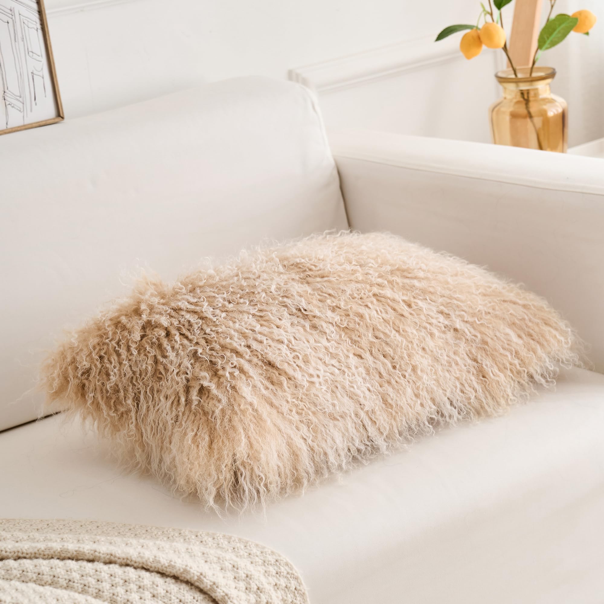 Coussins 30cm x 50cm en Véritable Fourrure d'agneau Tibétain-Mongol - Rembourrage Polyester Haut de Gamme - Décoration Luxe, Hypoallergénique, Lavable - pour Salon, Chambre ou Bureau (Beige Poudré)