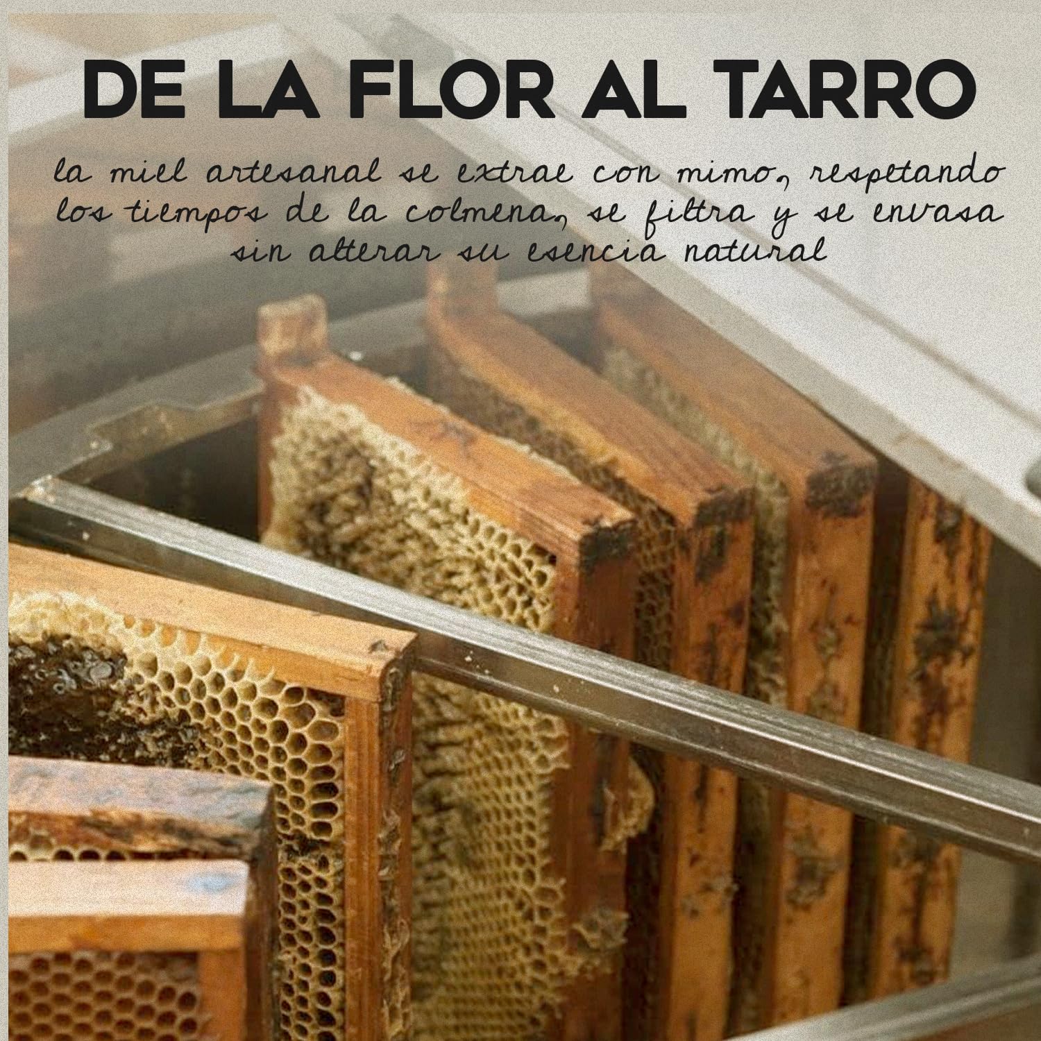 Polen de Abeja Natural de 1 kg, sin procesar, fuente de energía y vitalidad. Polen de abeja crudo con vitaminas y minerales esenciales, perfecto para desayunos, batidos o yogures saludables.