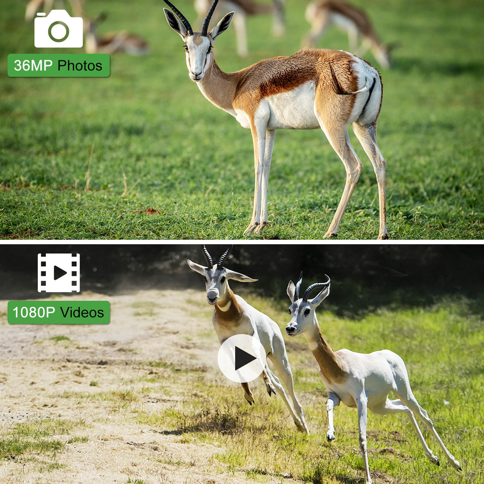 Fotocamera Per Trail E Animali WESLNN - 36MP, 1080P, Visione Notturna IR, Impermeabile IP66