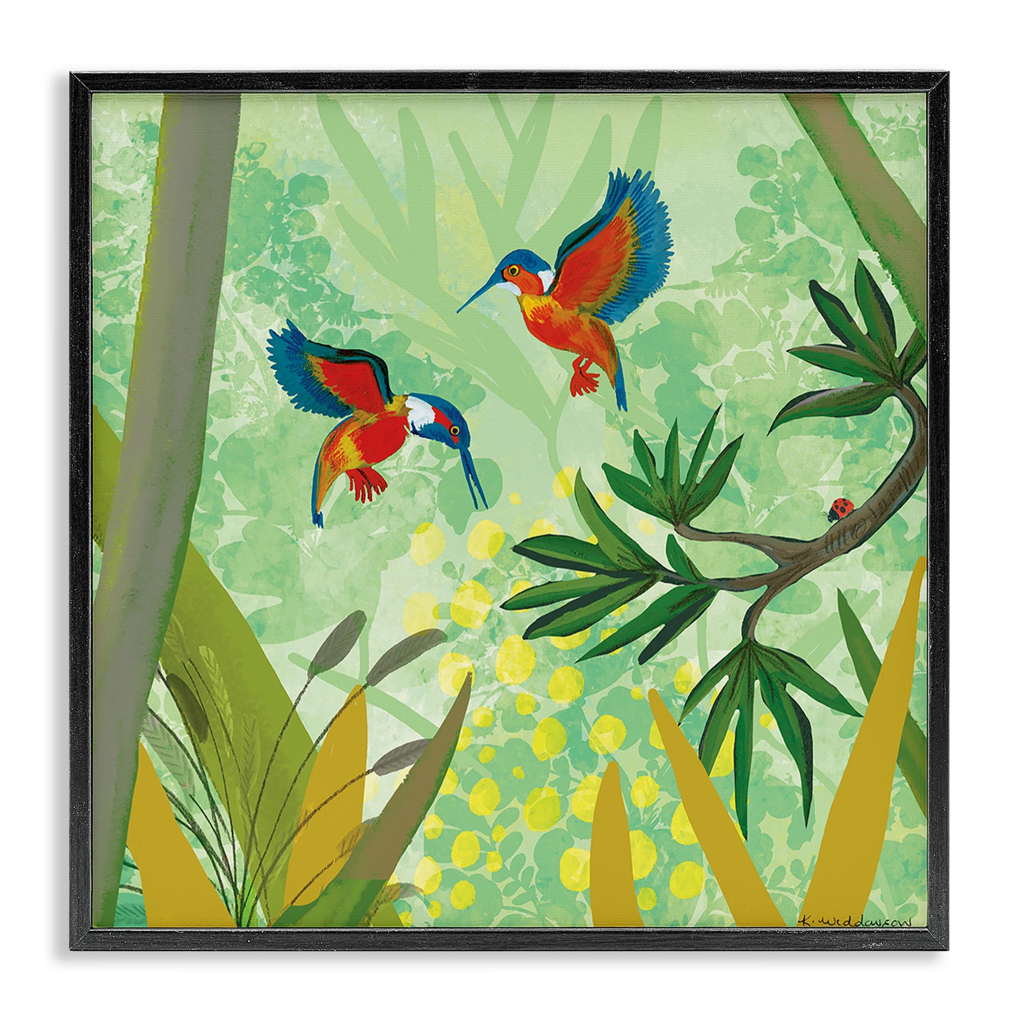 Stupell Industries 'Kingfishers in Jungle Branches', Framed Giclee Art, Black, 24 x 24 Inches, Easy to Hang and Sturdy, Made in USA, by Kay Widdowson