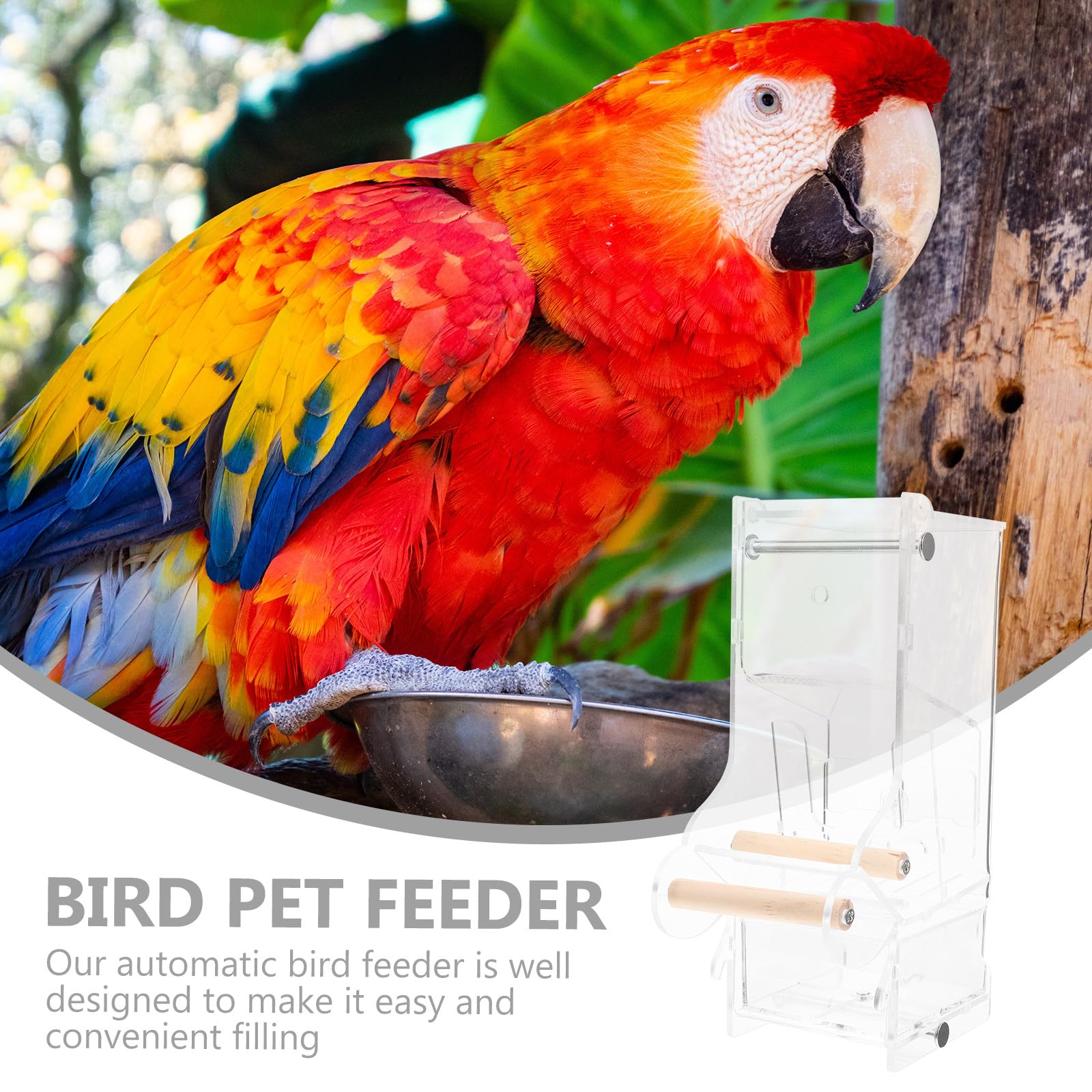 SEWACC Mangeoire Automatique pour Oiseaux Distributeur De Nourriture pour Cage à Oiseaux Mangeoire Transparente pour Petits Et Perroquets