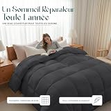 Utopia Bedding Couette Chaude sans Housse, 220x240 cm, 370 g/m², Grise - 2