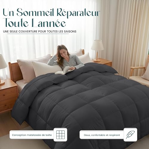 Utopia Bedding Couette Chaude sans Housse, 220x240 cm, 370 g/m², Grise - 2