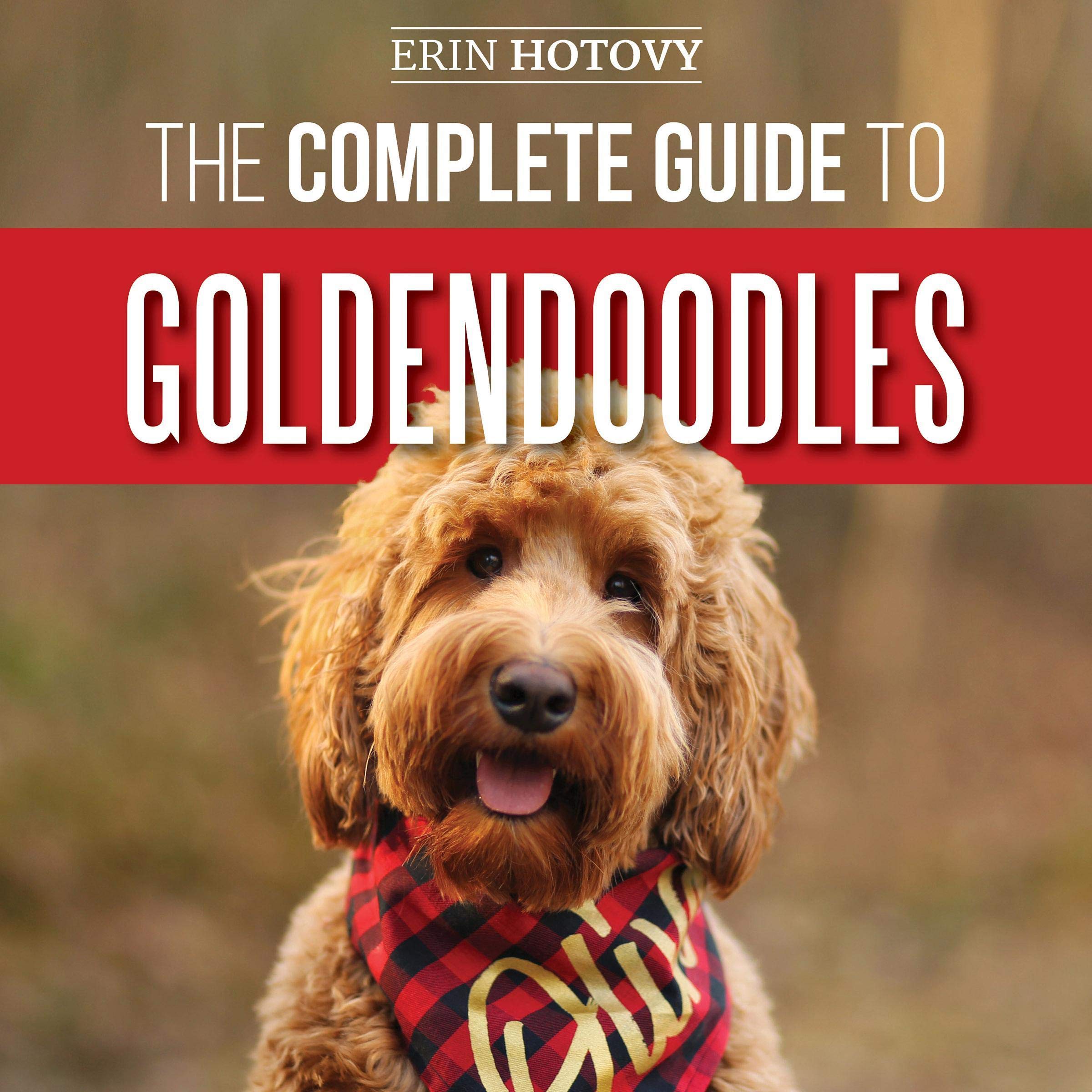The Complete Guide to Goldendoodles
