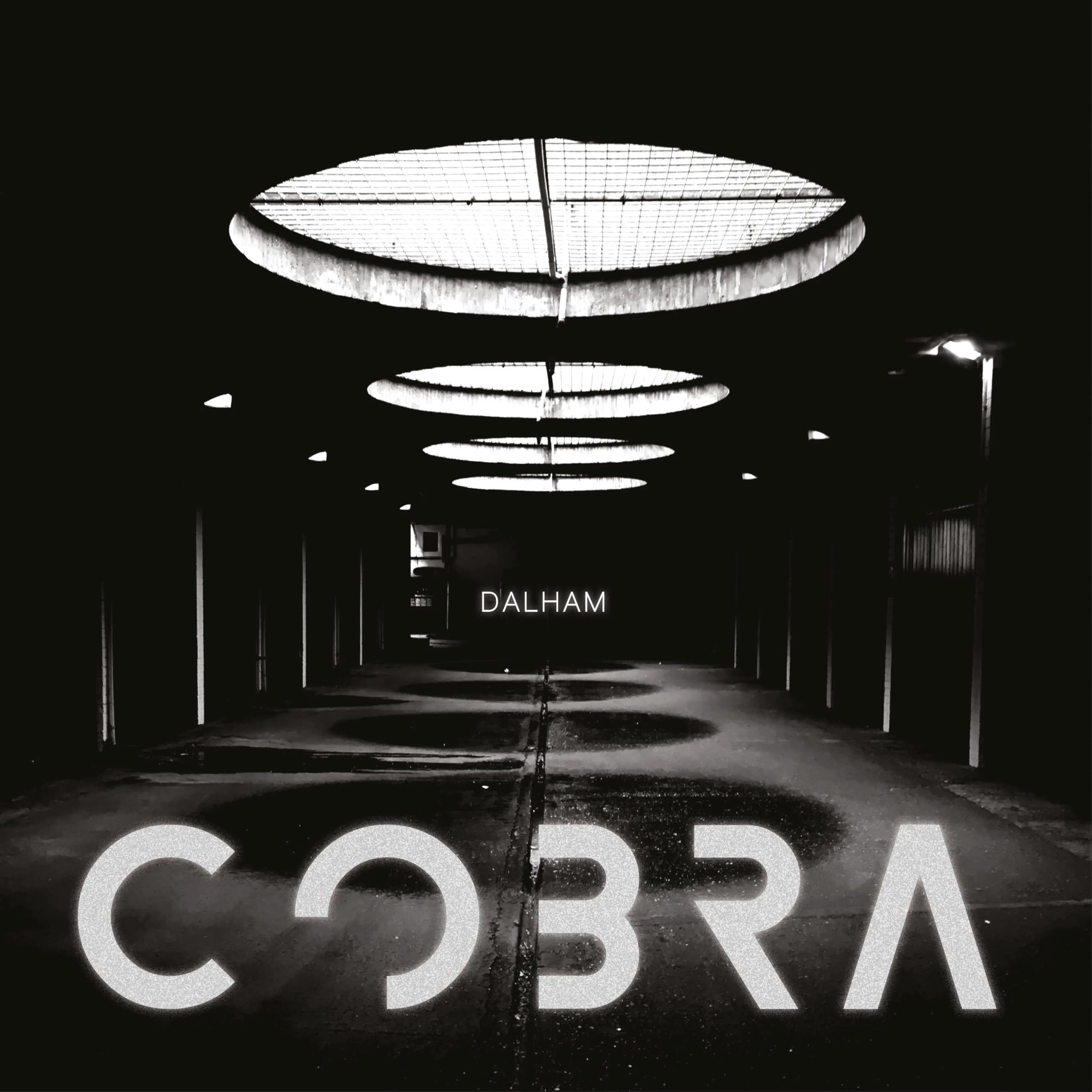 Cobra [VINYL]