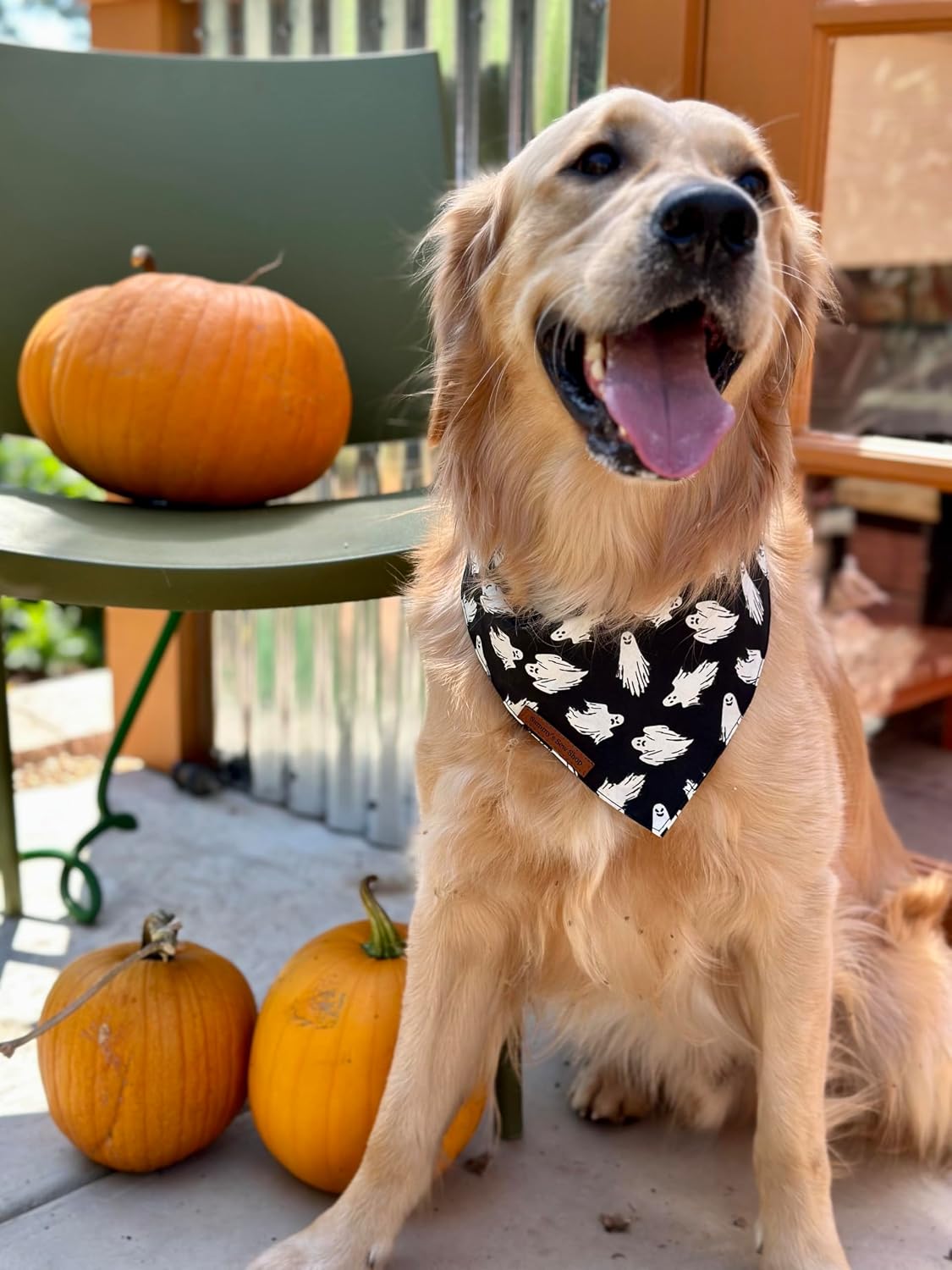 Sammy’s Sew Shop Halloween Dog Bandanas – Ghost, Pumpkin, and Witch Print Halloween Dog Bandana, Light Drape Fabric, Unique Design, Handmade in The USA (Small, Ghoulish)