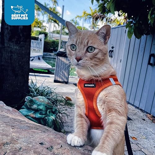 Vista 91 de Best Pet Supplies Voyager Step-in Air - Arnés de malla para todo tipo de clima, reflectante, antitirones, para perro y gato pequeño y mediano, Arnés