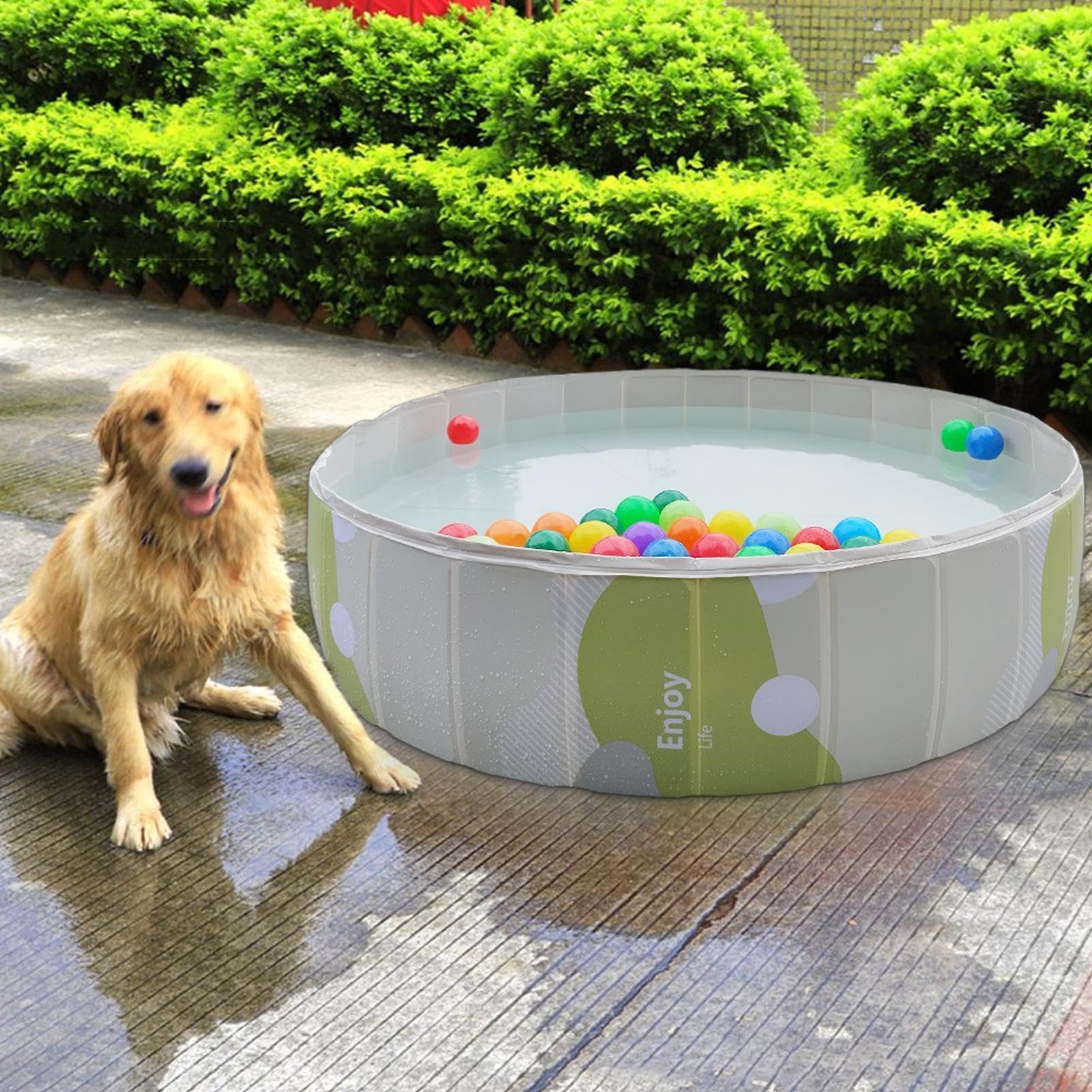 Piscina Plegable para Perros Tanque No Hinchable de Baño y Ducha | Piscina de Chapoteo Perros Para Adultos Familia Niños Exterior Interior Patio Terraza Parque Playa Camping Baño Bebés
