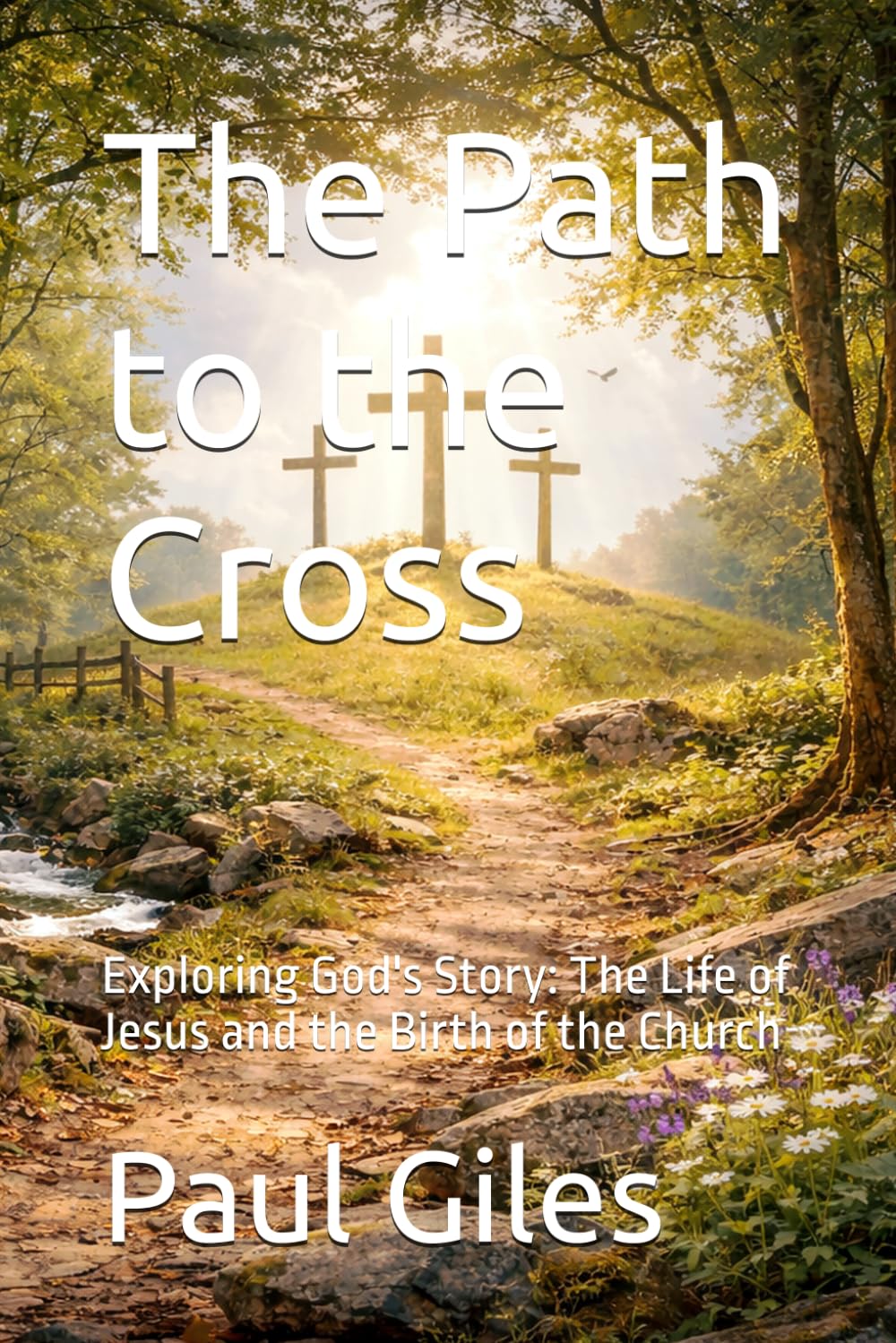 The Path to the Cross: Exploring God's Story: The Life of Jesus and the Birth of the Church (Stories of the Bible)