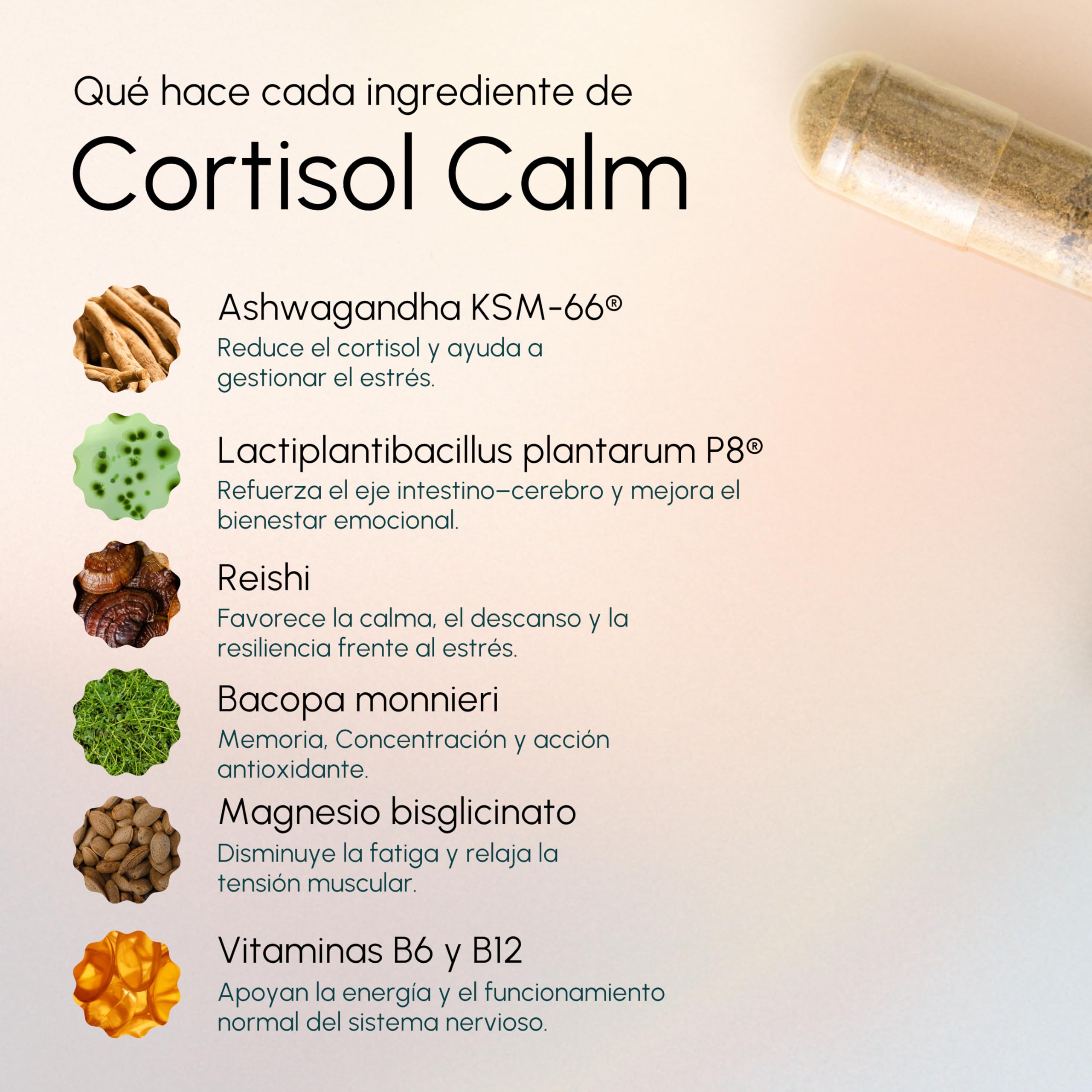 Cortisol Calm Ansiedad, Estres, Niebla Mental - Ashwagandha KSM-66 15:1, Magnesio Bisglicinato, Bacopa Monnieri, Reishi, Vitamina B6 y B12 y Probioticos - Nootropico Relajante Natural 60u
