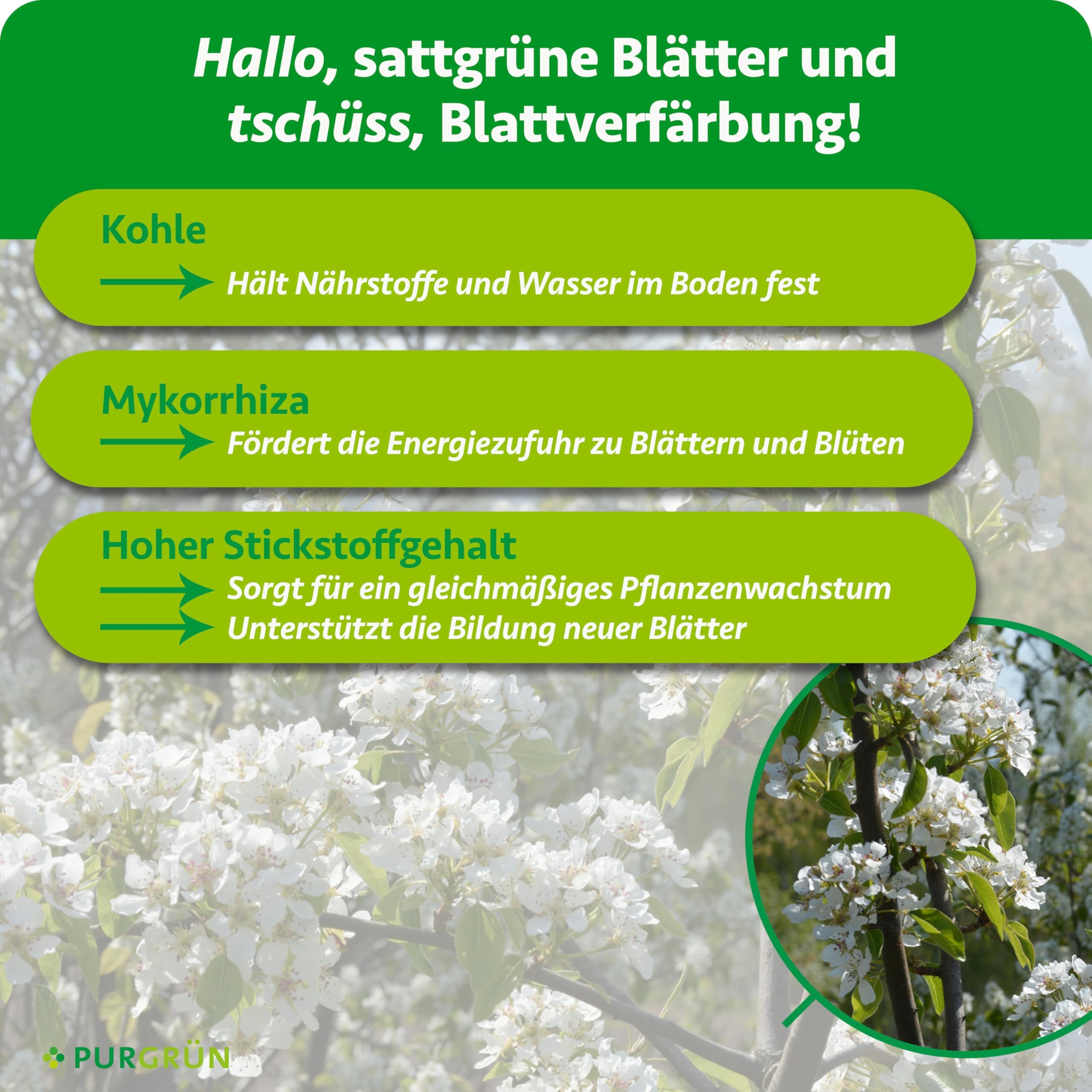 Bio-Felsenbirne-Dünger 1 kg – Organisch-mineralische Rezeptur – Feinkörniges Krümelgranulat – NPK 6+4+5 – Mit Magnesium für leuchtende Blüten & süße Früchte – Verbessert die Bodenqualität