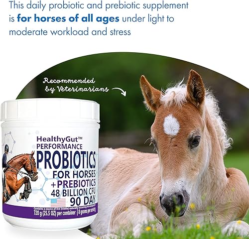 Miniatura 11 de HealthyGut™ Probióticos para caballos Suplemento dietético, fórmula de mantenimiento del sistema digestivo totalmente natural (30 días)
