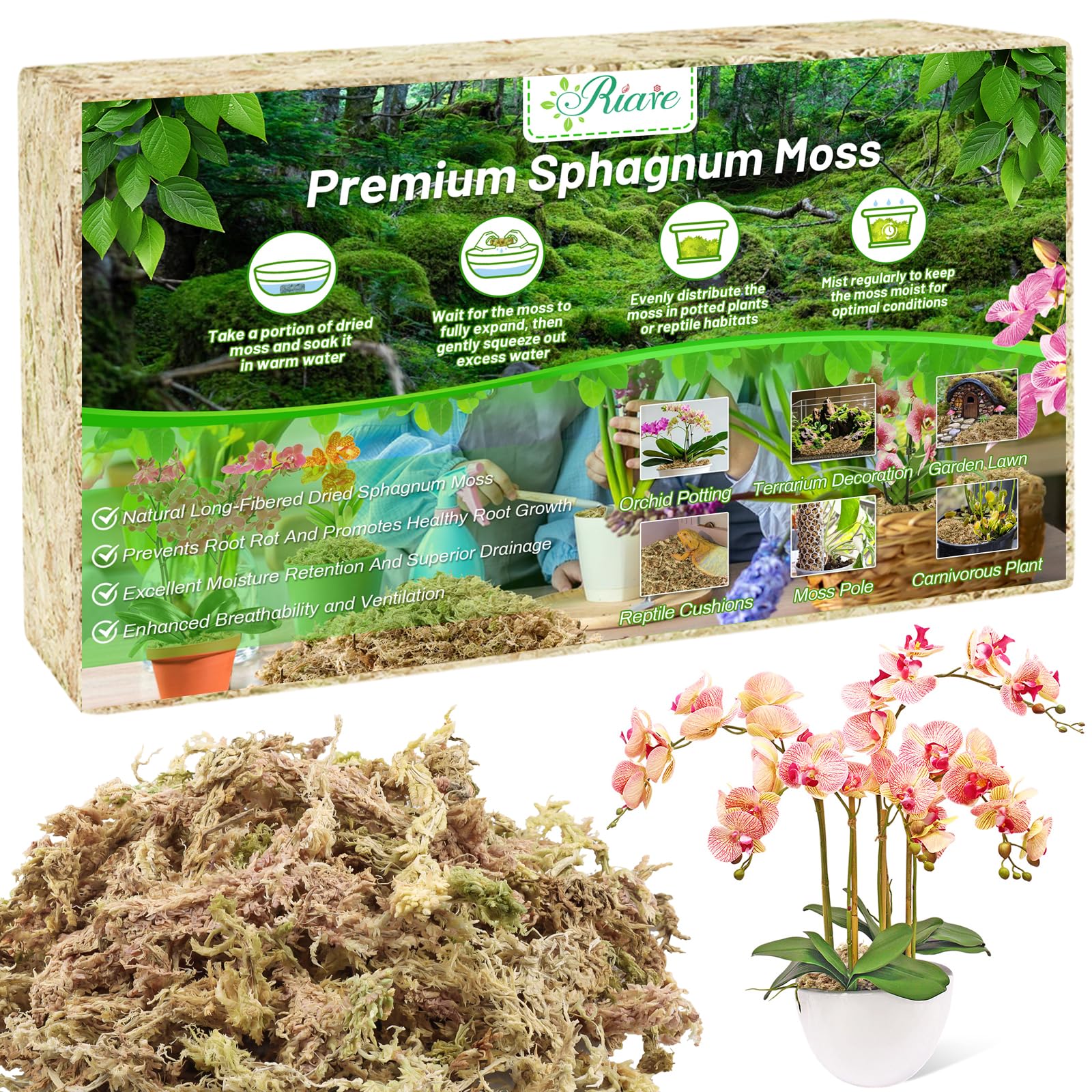 Riare 150 g de musgo Sphagnum Natural Terrario Musgo para Plantas Excelente Rendimiento de Ventilación para Orquídeas Plantas en Maceta Hogar Cultivo de Flores (150 g)