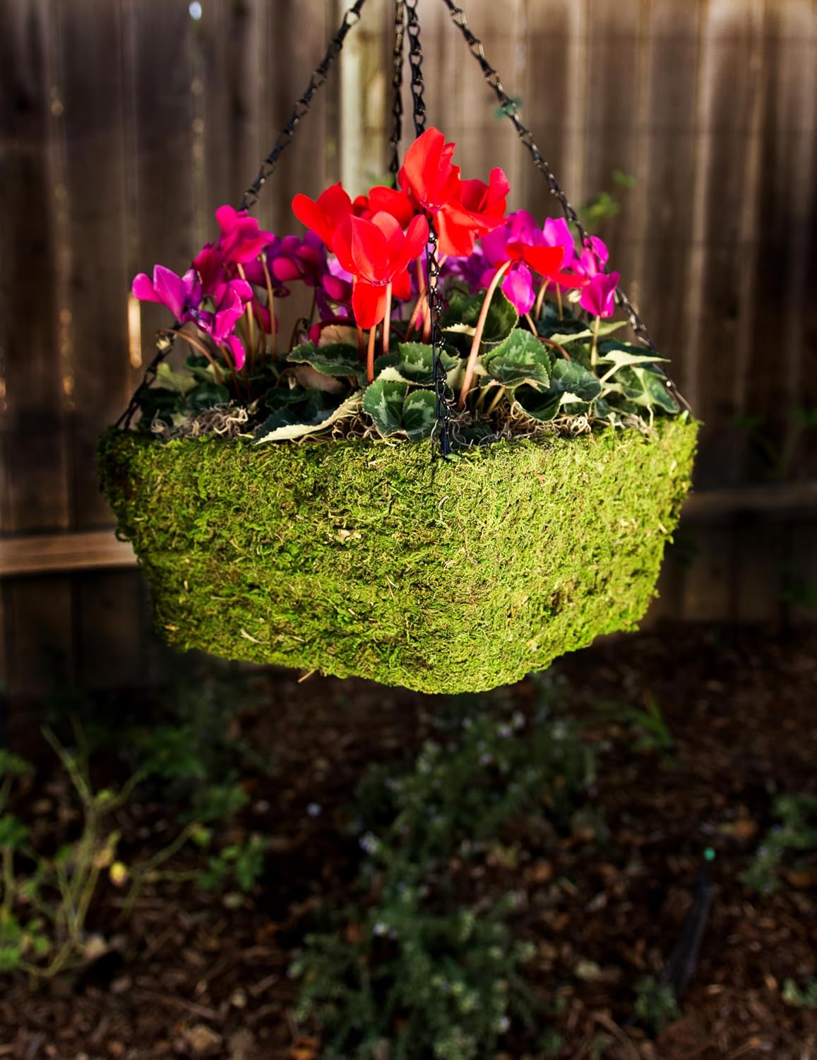 SuperMoss (29211) MossWeave Hanging Basket - Square, Fresh Green, Medium (12.5" Diameter)