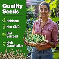 Vista 128 de HOME GROWN Más de 1000 semillas de cilantro para plantar en interiores o exteriores, hierbas tradicionales sin OMG, semillas de plantas de cilantro