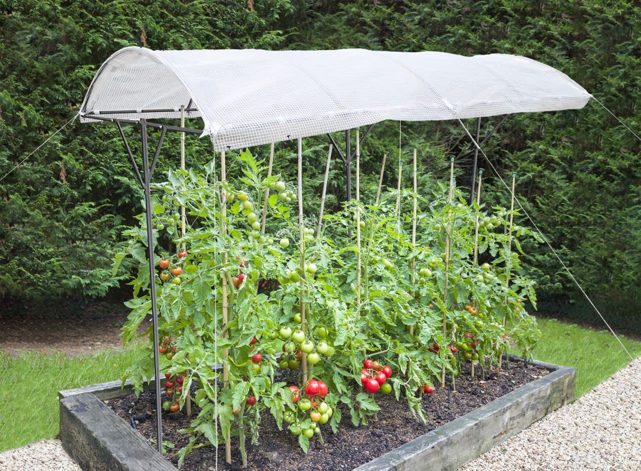 TrendLine Tomatenschutzdach ca. 200 x 112 x 80/180 cm Tomatenschutzdach Weiß