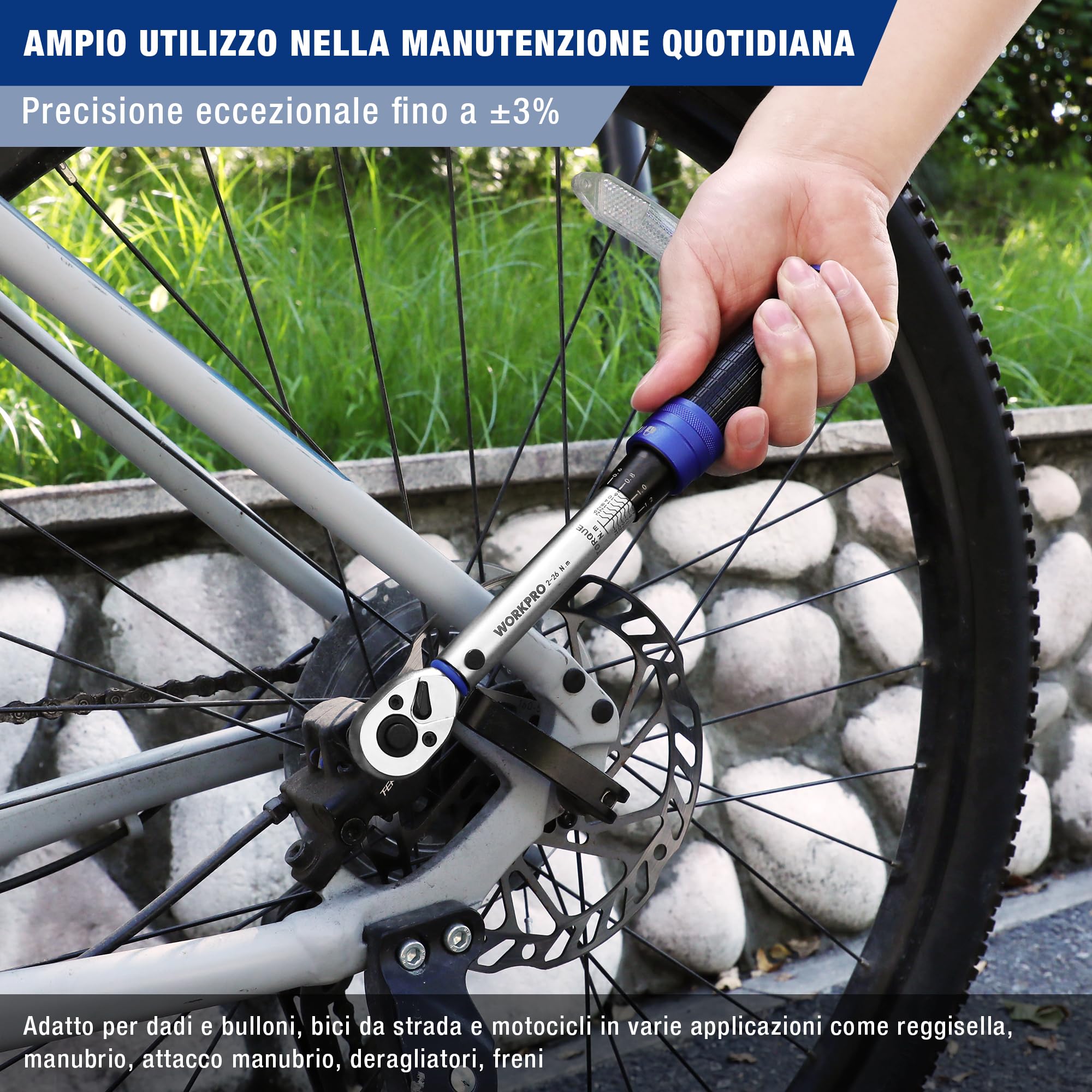 WORKPRO Chiave Dinamometrica da 1/4", Alta Precisione ±3%, 2-26 N·m, Set di Coppia da 14 Pezzi, Chiave a Cricchetto da 72 Denti, con Barra di Prolunga, per Auto, Bicicletta e Moto