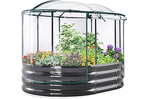Kingbird Raised Garden Bed with Cover