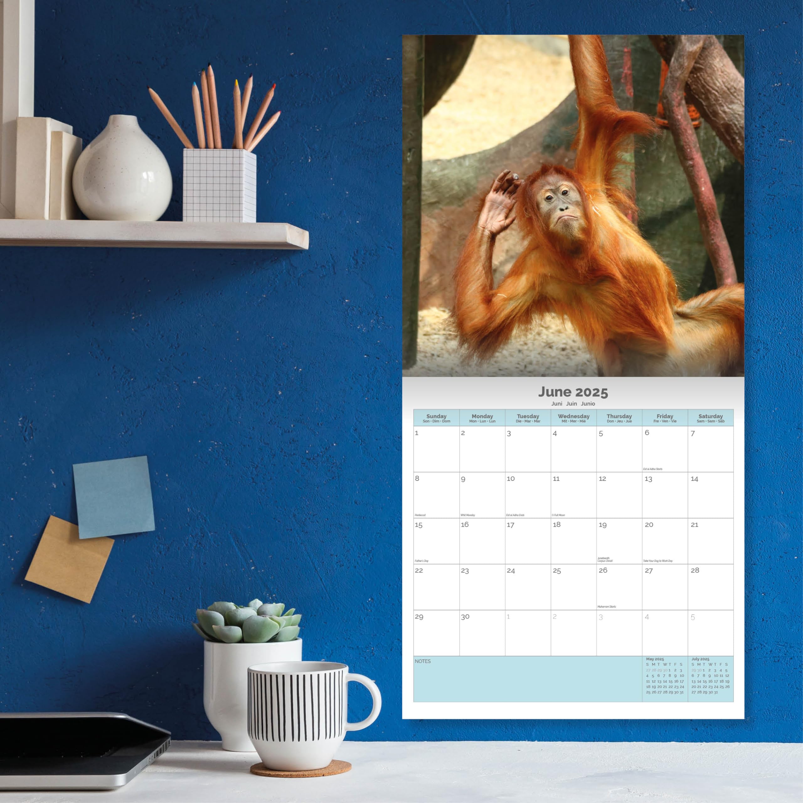Dayplanner Publishing Animal Selfies Calendar 2026, Large Square Wall Calendar With Organisational Stickers, 16 Month - Image 2
