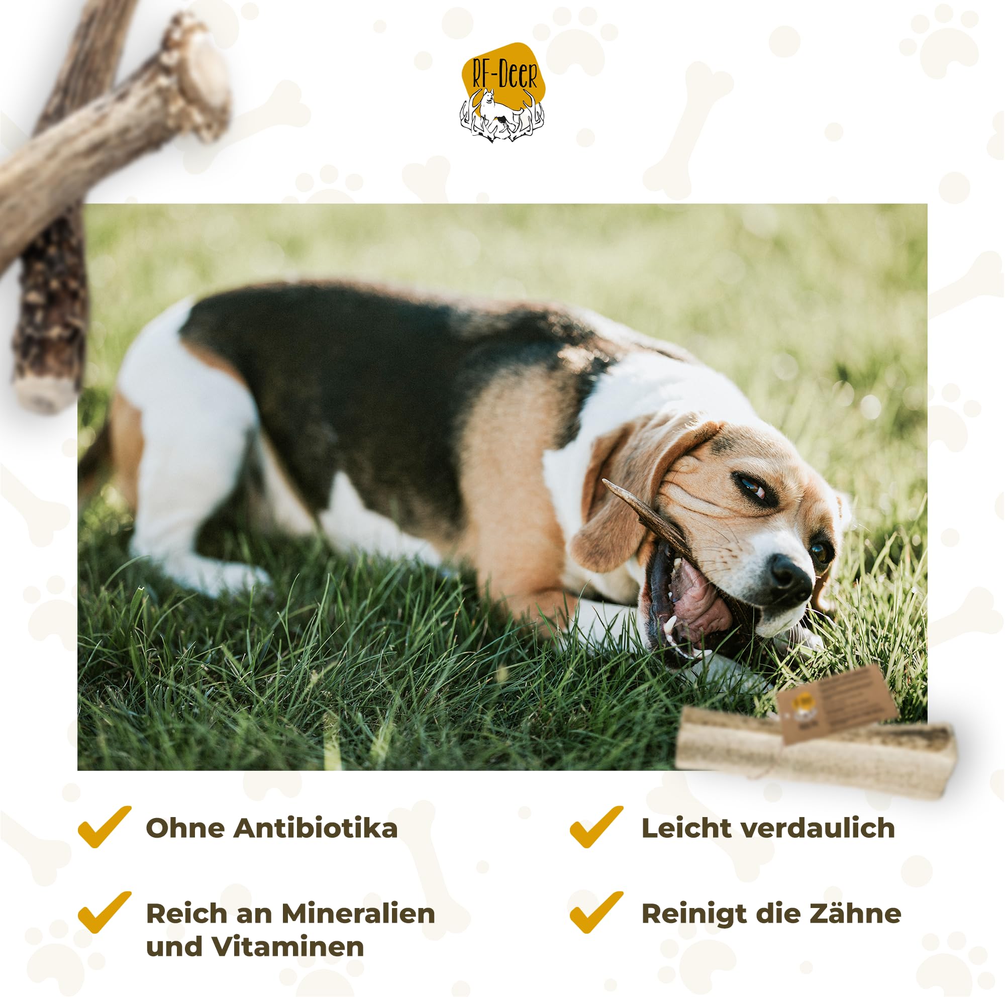 RF-Deer Hundesnack Rothirsch Geweih Kausnack - Hirschgeweih für Hunde, 100% Natürlicher, Kauspielzeug Hund, Hundespielzeug Kauknochen für Genuss und Zahnpflege (XXL 19-21 cm, Soft - 5 Stück)