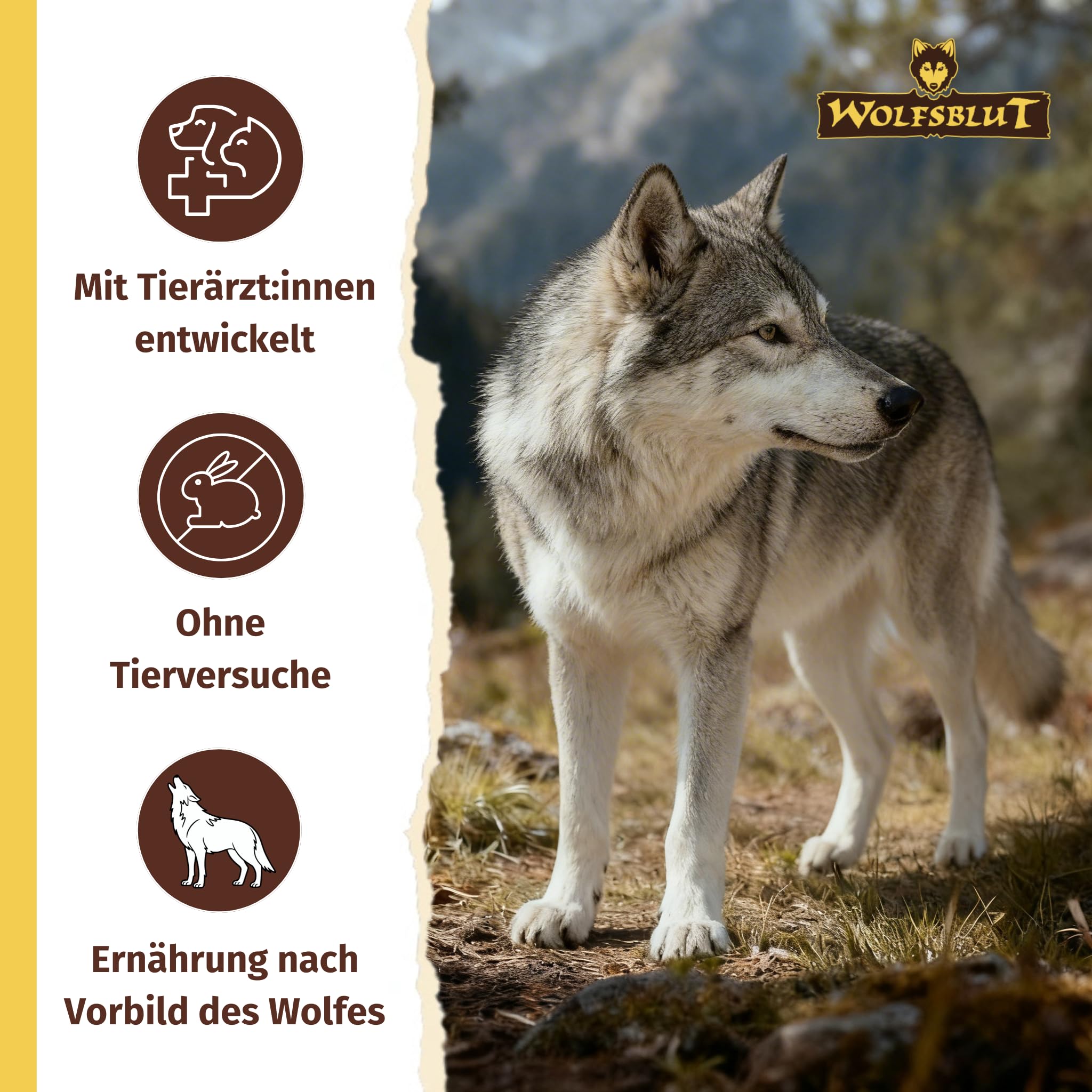 gleitmittel für reinigungsknete ADBL - Gleitmittel für Reinigungsknete - Slippy Clay Lube - 1 Liter –  ADVANTUSE main image 1
