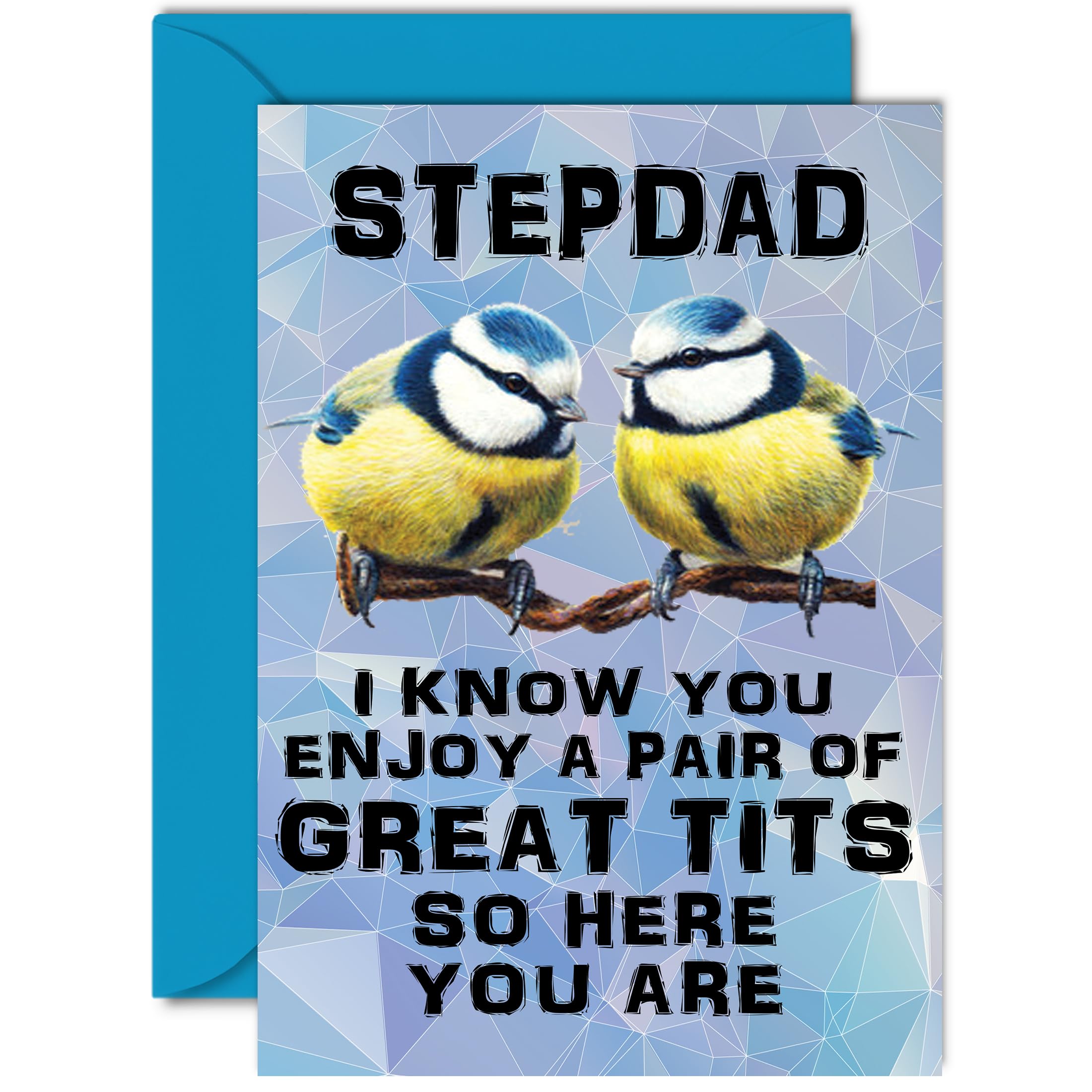 Funny Birthday Cards for Step-Dad - Great Pair - Joke Rude Birthday Card for Step Dad from Step Son Daughter, Humour 40th 50th 60th 70th 80th Bday A5 Daddy Papa Greeting Cards