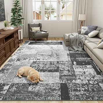 LOCHAS Rug for Living Room 6x9, Soft Washable Area Rugs for Bedroom Dining Room, Abstract Carpet for Kids Nursery Office Floor, Black Grey Geometric Vintage Home Decor, Non Slip, Pet Child Friendly