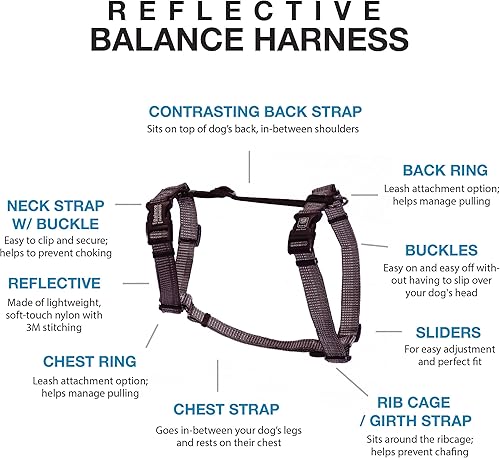 Miniatura 2 de Blue-9 Arnés de equilibrio reflectante con hebilla y cuello, ajuste totalmente personalizable sin tirones con costuras reflectantes 3M, ideal para