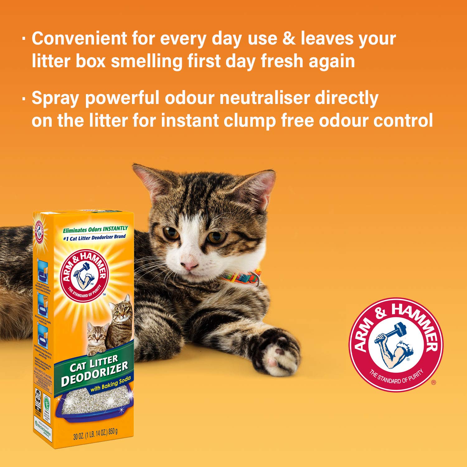 Arm & Hammer Pure Baking Soda 5 lb