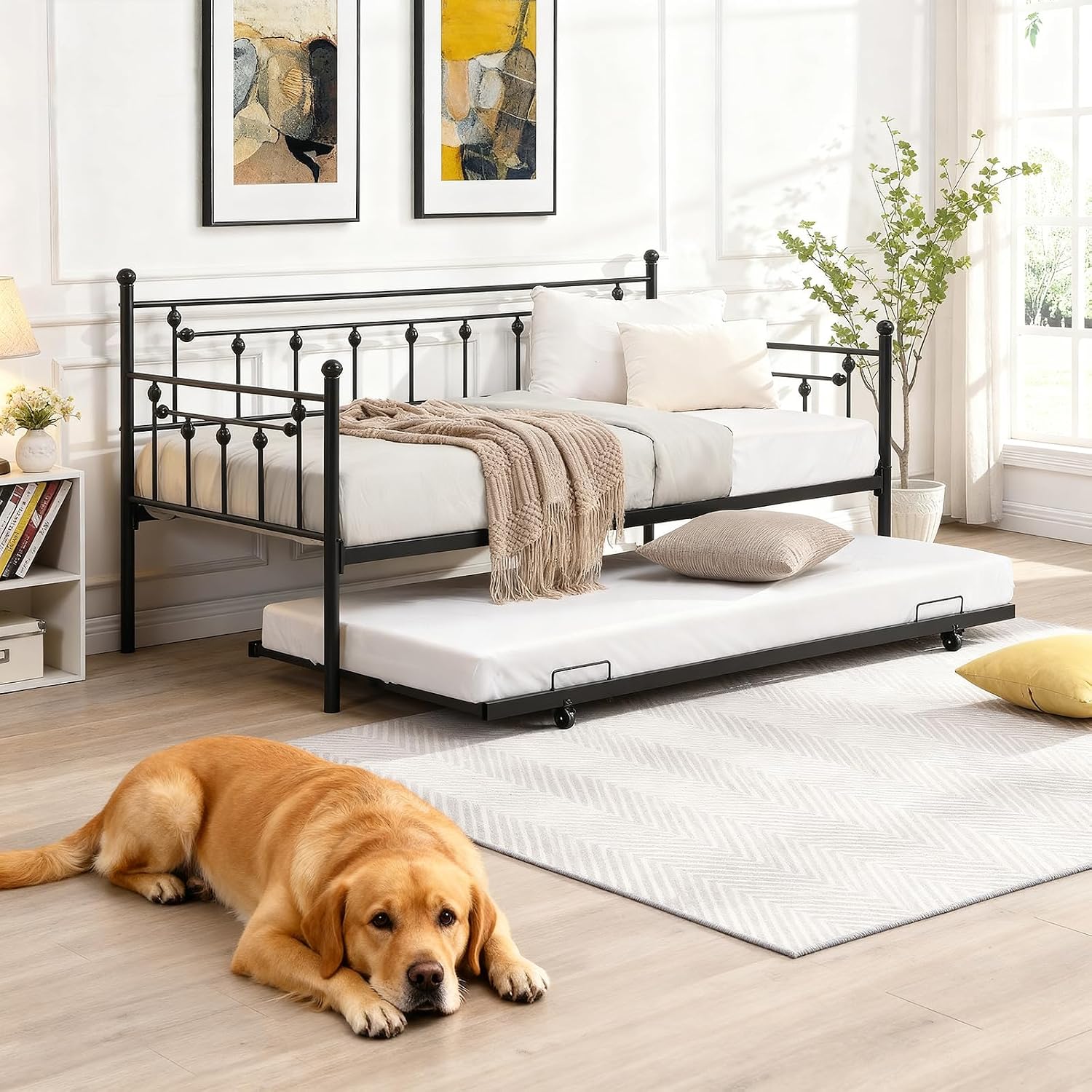 Amazon.com: JUBILOOM Twin Daybed with Trundle, Metal Frame Farmhouse ...