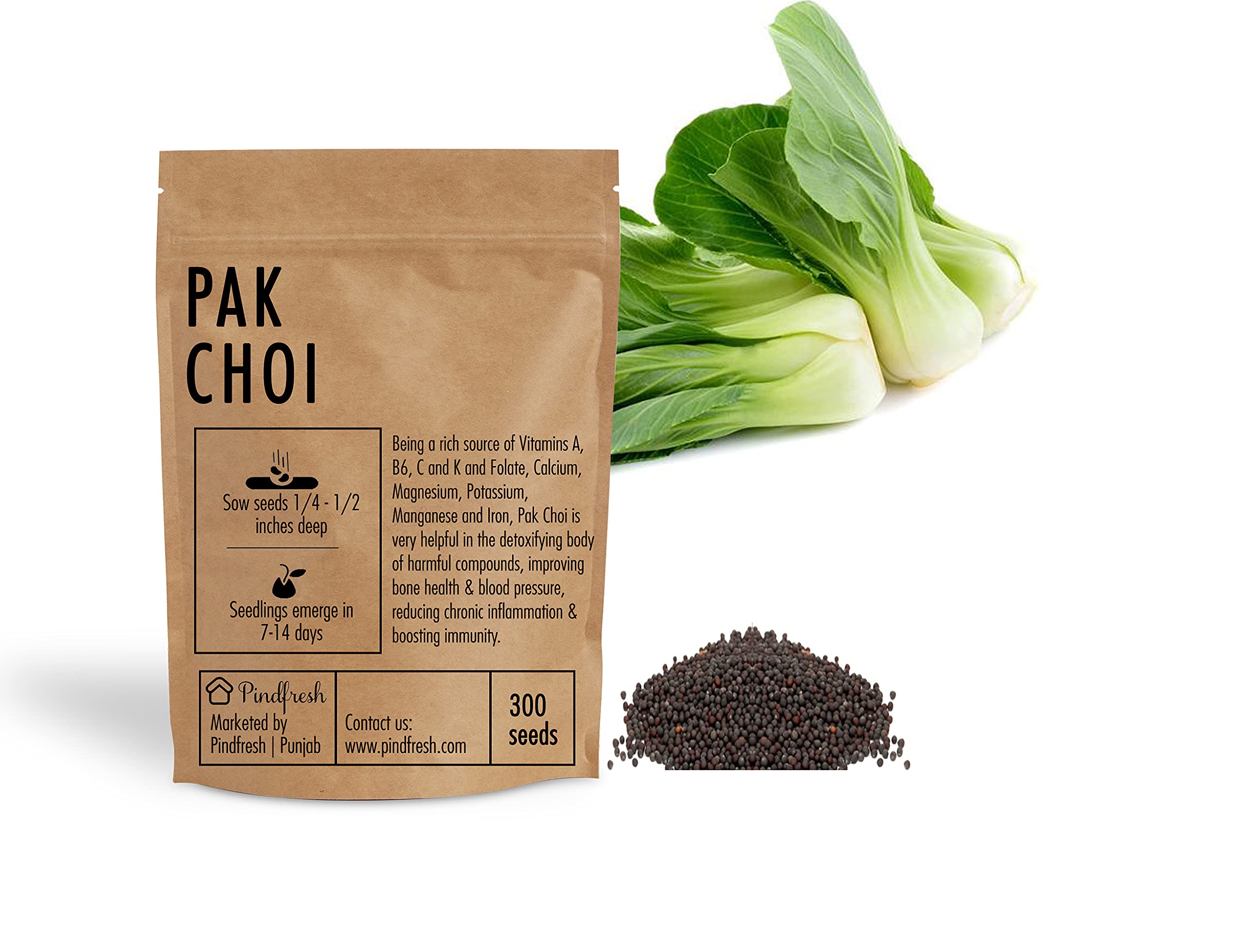 Pindfresh Seeds - PAK CHOI SEEDS, Qty 1 packet contain 300 seeds - Hydroponics, Cocopeat & Soil Gardening. Non GMO seeds (B09DCS9R8M) Amazon Price History, Amazon Price Tracker