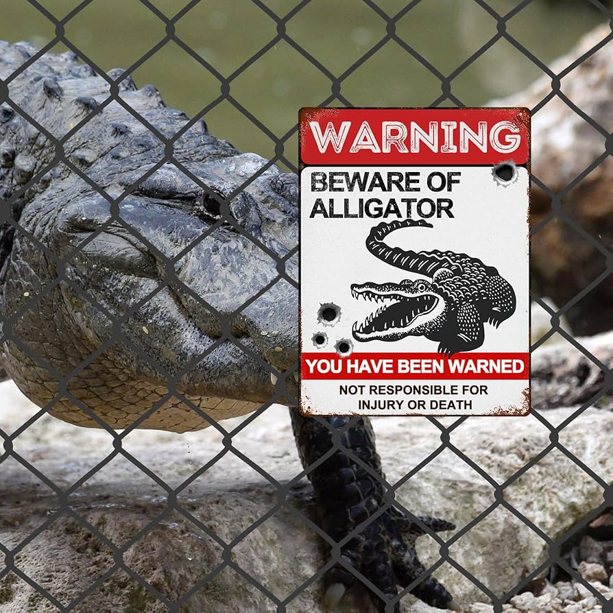 The Stove Wizard Firebrick Fire Board Heat Proof Brick Vermiculite Fireboard 240 X 303 X 40MM