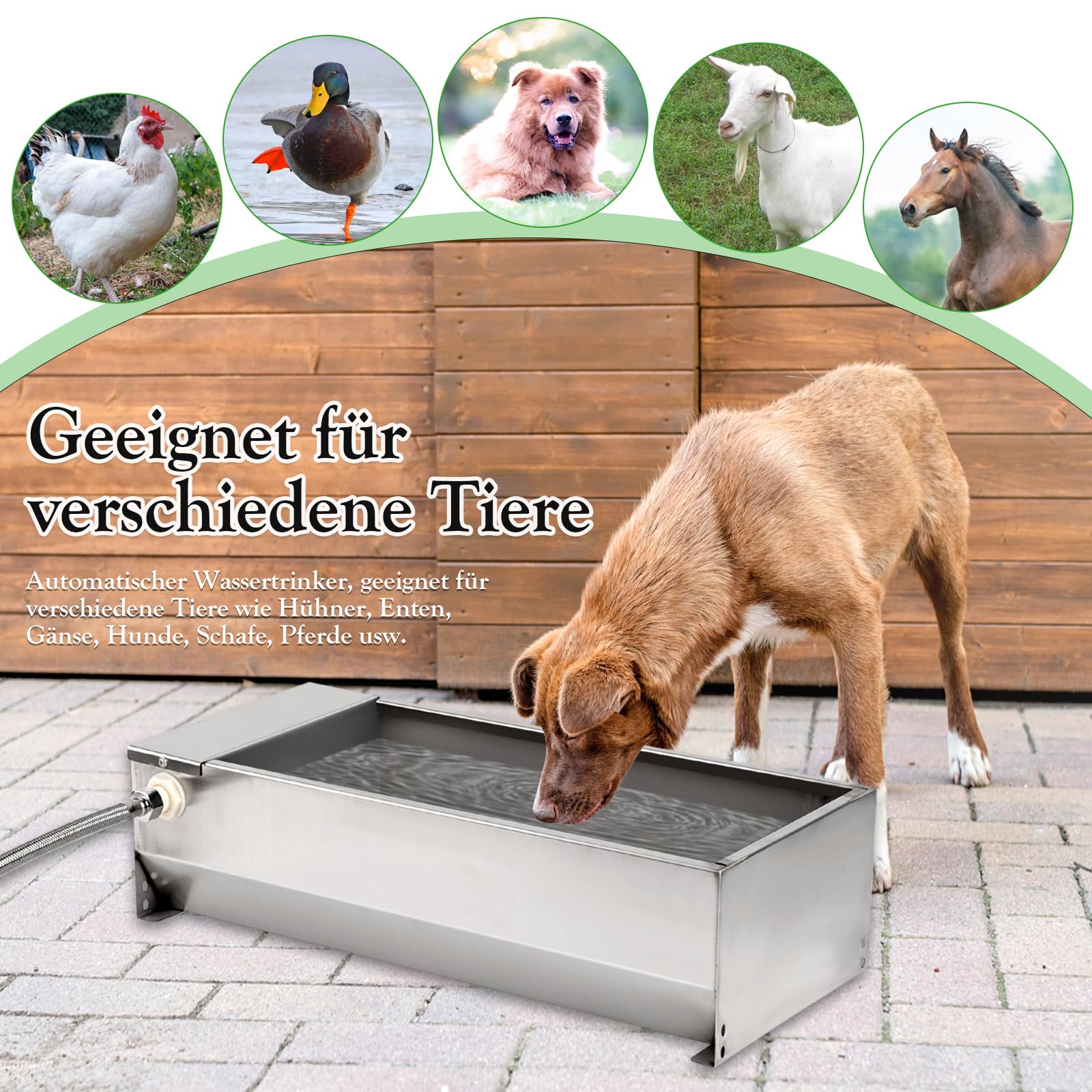 Automatischer Pferdetränke mit 1/2-Zoll-Schwimmerventil, großvolumiges Geflügeltränke Kit für Rinder, Pferde, Schafe, Hunde