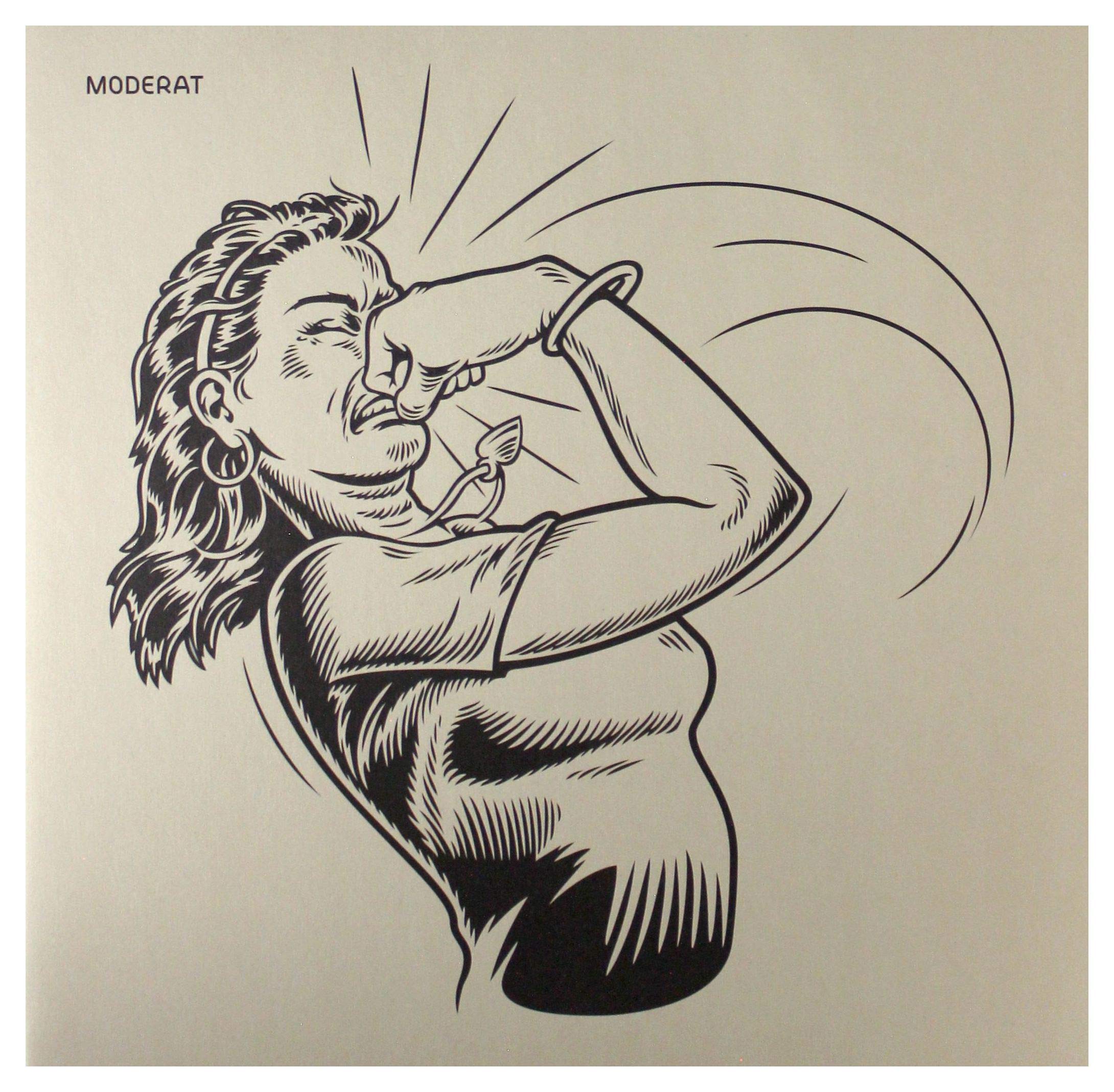 その他 LP Moderat II 95711 Mute /00260 II | Monkeytown Records
