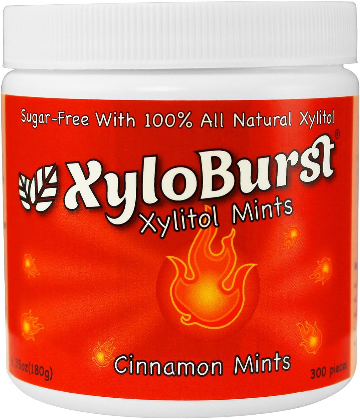 XyloBurst Mint Jar Cinnamon 300 Count (6.35oz) (FFP)