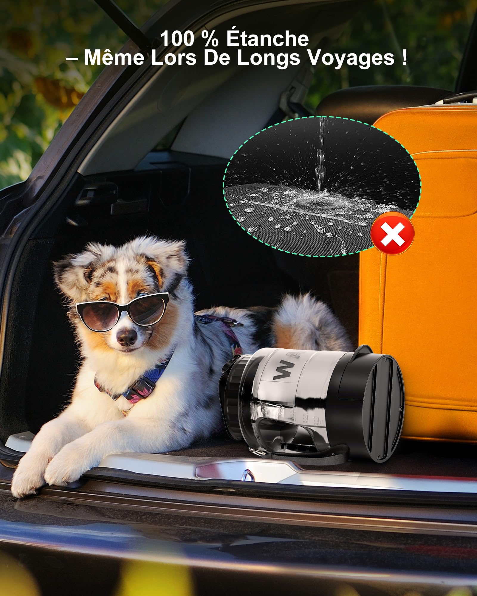 lesotc 2200ml Gourde Chien Promenade, Bouteille d'eau Portable pour Chien, Prévention des Fuites d'eau, Convient pour l'Extérieur, Les Voyages, La Marche, Le Camping Et d'autres Scènes（Noir）