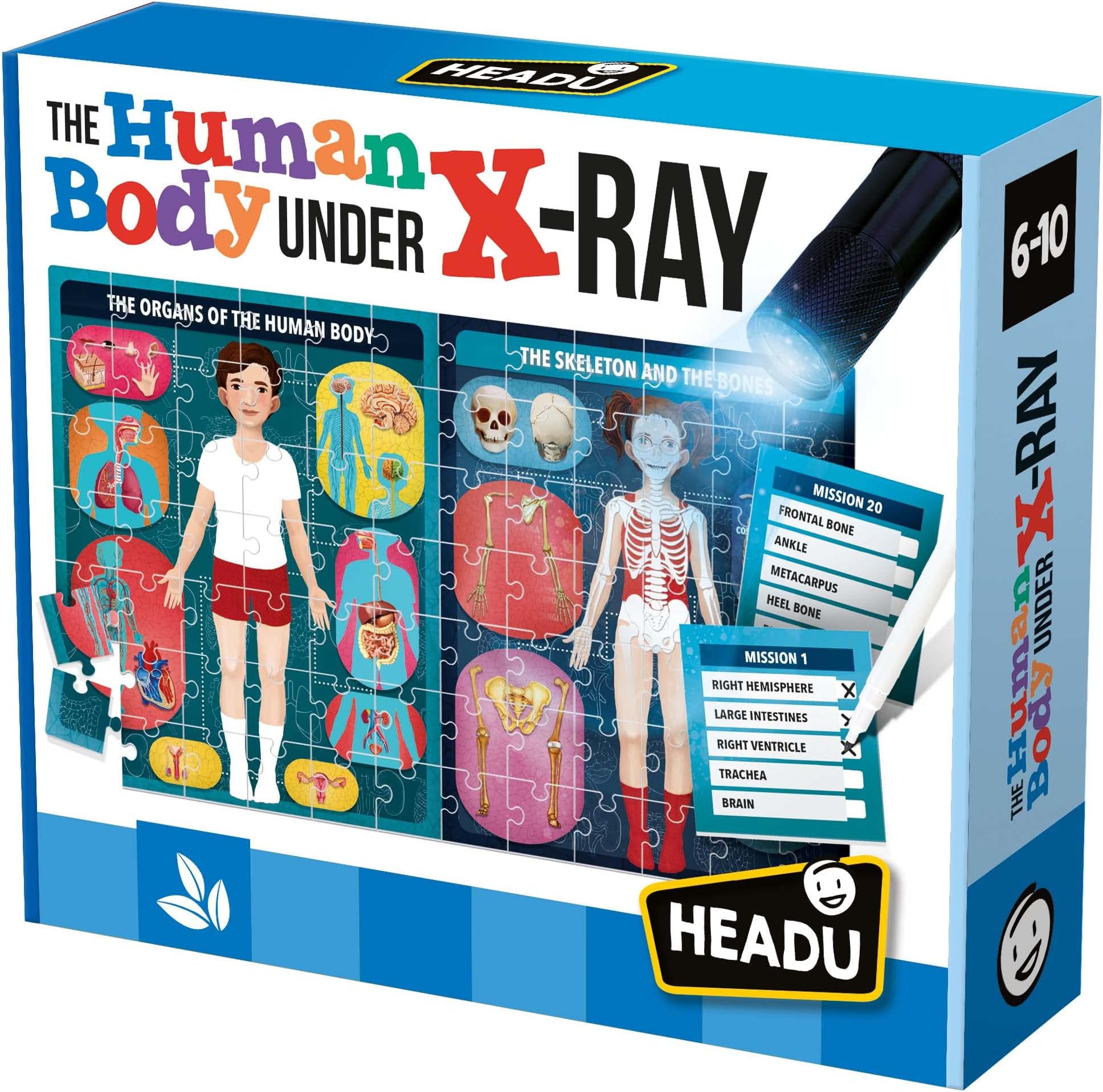 Headu | The Human Body Under X-Ray - assemble the puzzle and learn about the human body | Educational Games & Puzzles | Ages 6-10 years