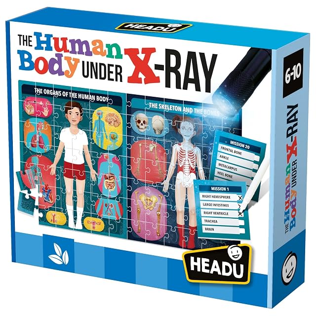 Foto 4 de 8 de Headu El Cuerpo Humano bajo Rayos X: Monta el Rompecabezas y aprende sobre el Cuerpo Humano