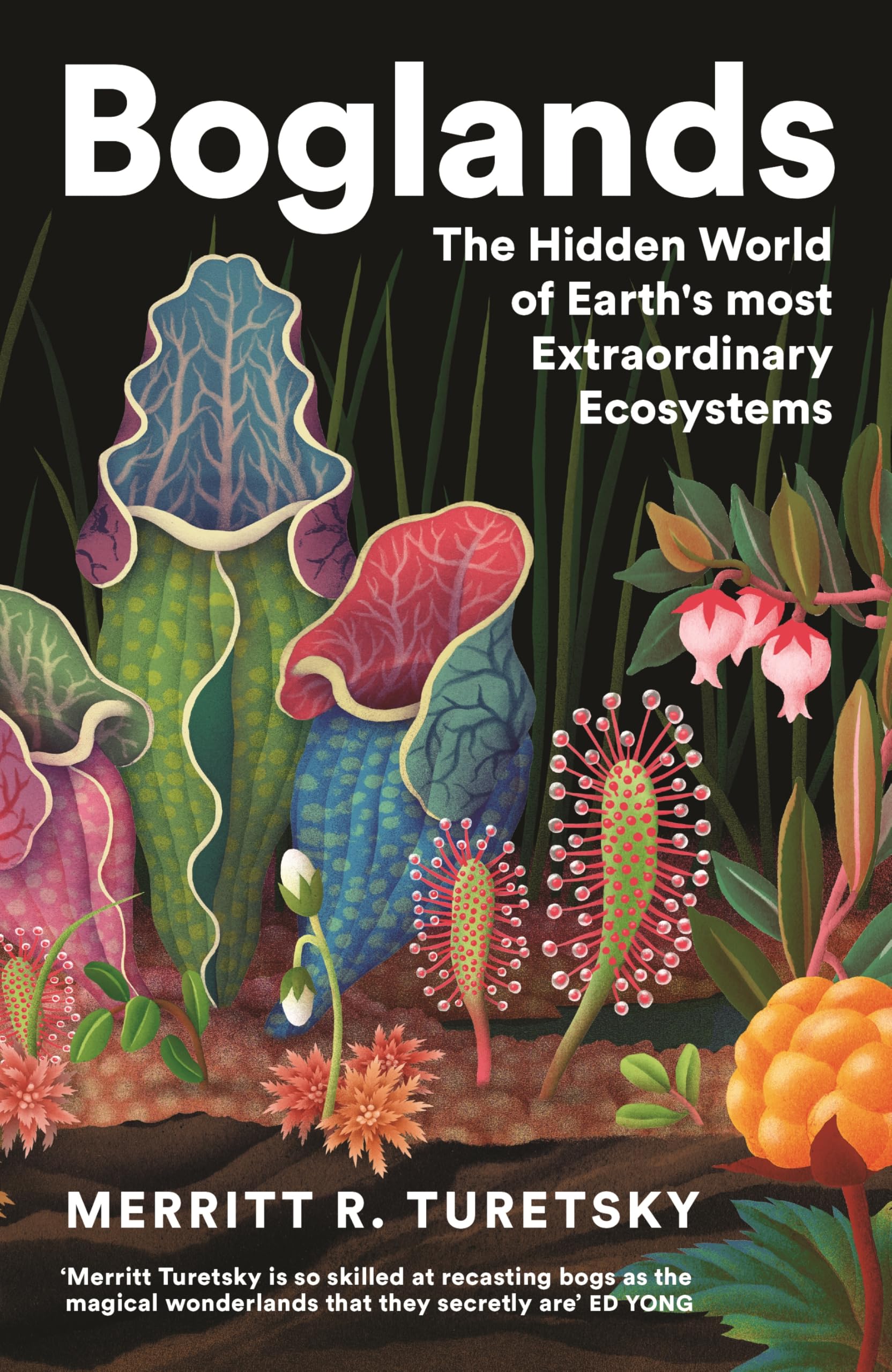 Boglands: The Hidden World of Earth's Most Extraordinary Ecosystems