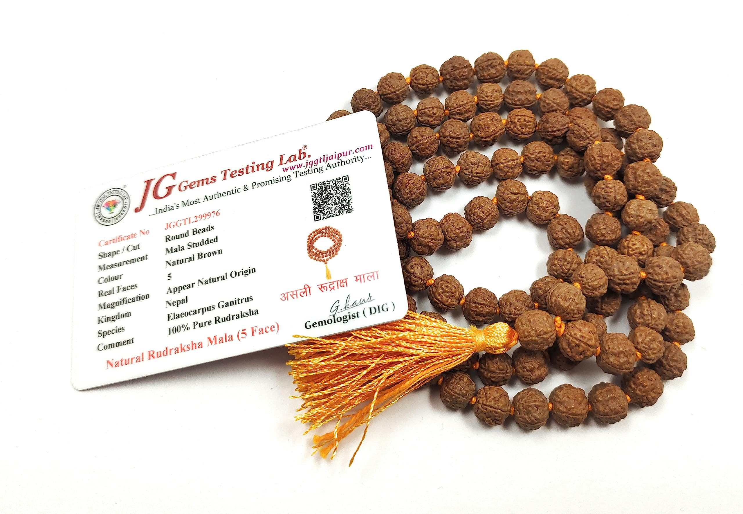 Rocksmins Rudraksha Mala 108+1 Beads (Pathri Mala/Chikna Mala) 8 mm Lab Certified Natural Original 5 Panch Mukhi for Jaap Pooja Astrology Wearing Meditation Protection Unisex (MALARUDRAKSHA-Pathri)-image-11