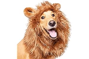 Pet Krewe Adult Puppy Lion Costume - Lion Mane for Small Dogs