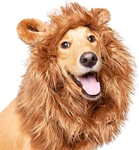 12 Best Lion Mane Costumes for Dogs to Make Your Pup the King of Halloween 11 Lion Mane Costume and Big Dog Lion Mane Wig - Large Dog Costumes by Pet Krewe