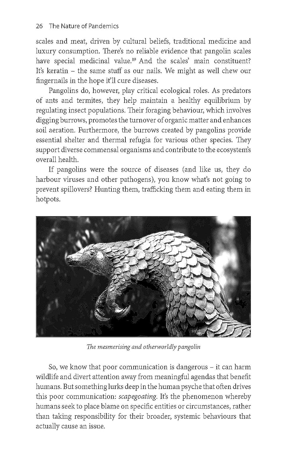 The Nature of Pandemics: Why Protecting Biodiversity Is Key to Human Survival