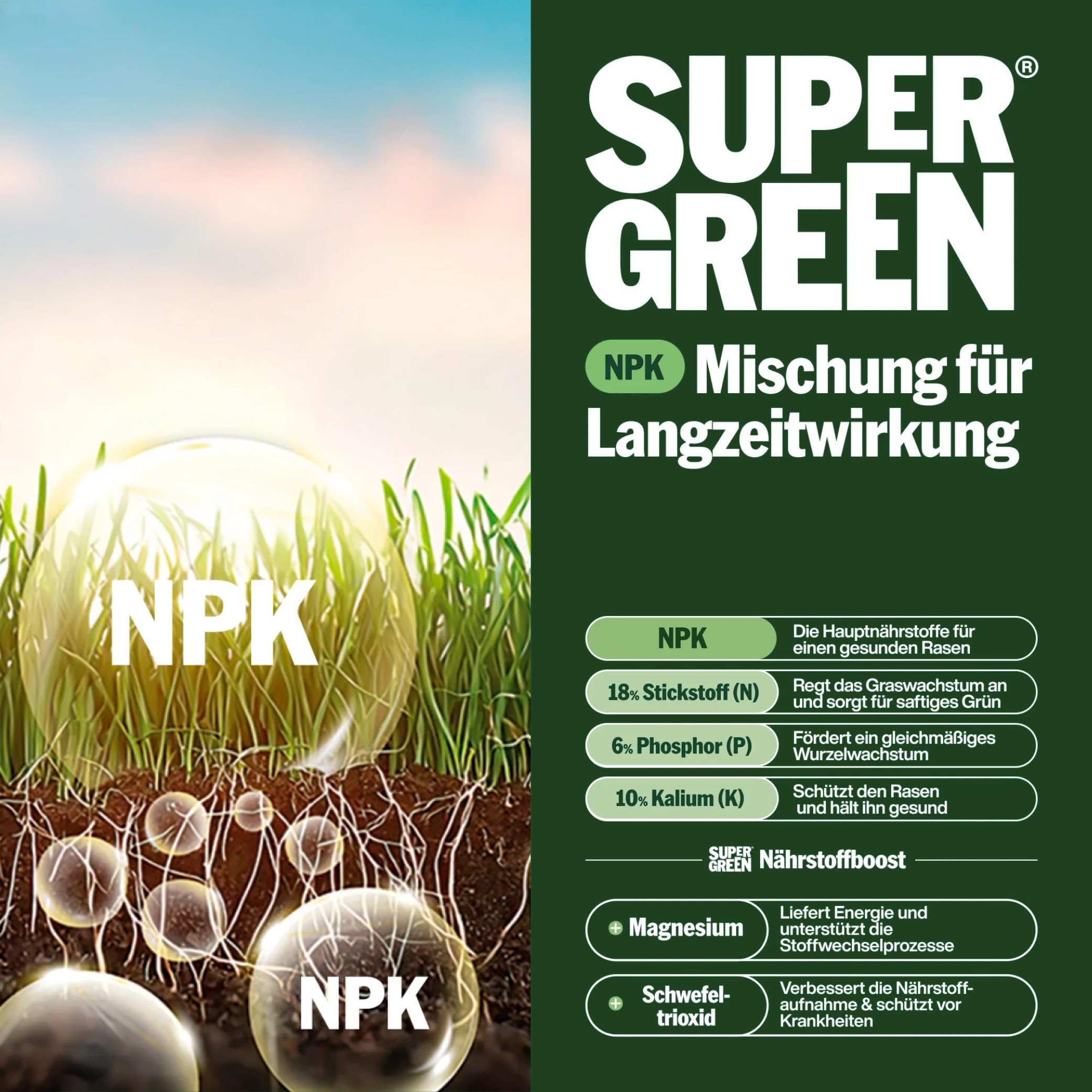 SUPERGREEN Rasendünger Langzeit bis 100 Tage | 5kg | NPK 18-6-10 für schnellen, sattgrünen, dichten Rasen | Nitratfrei & staubfreies Granulat (2-5 mm) | Premium Qualität