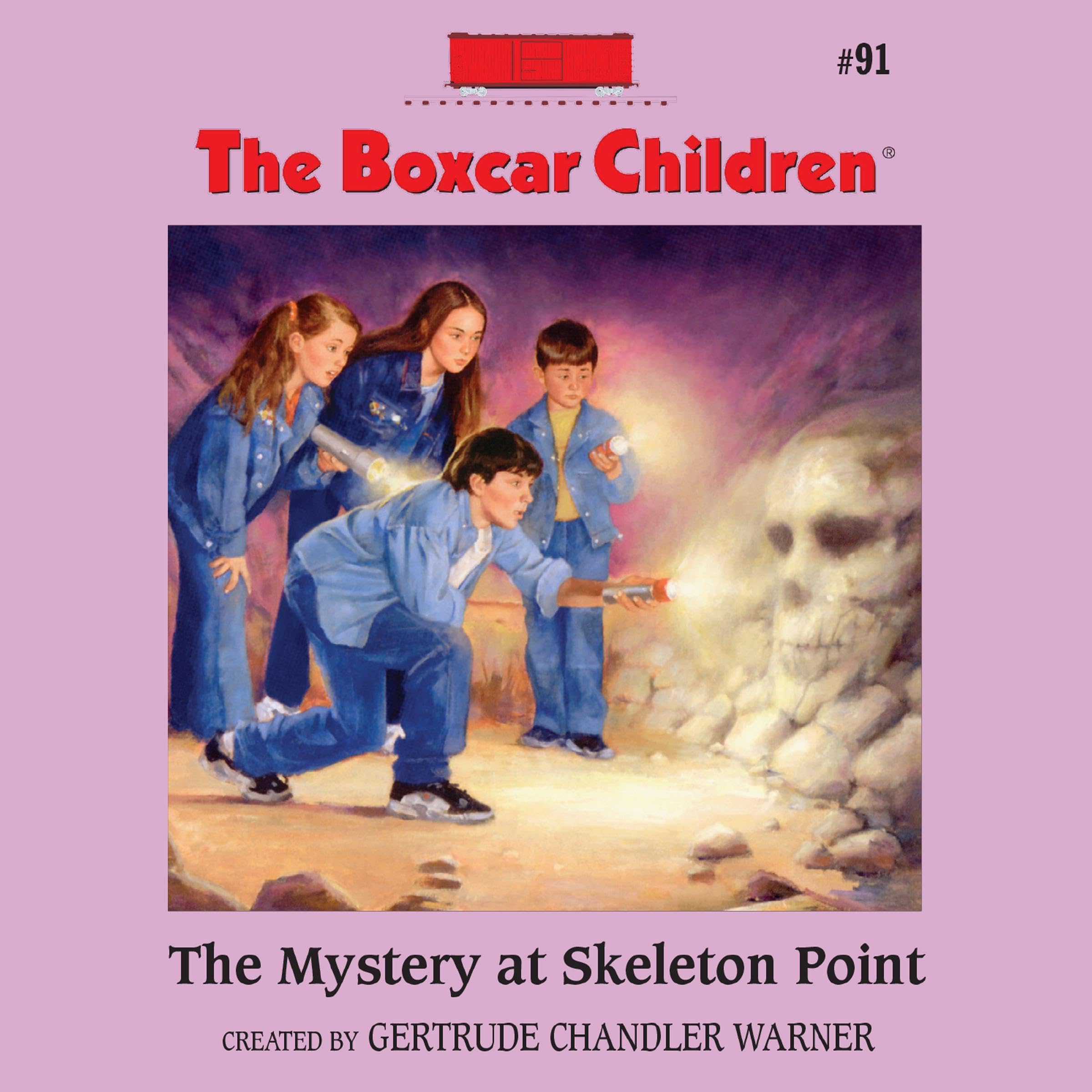 Cover art for The Mystery at Skeleton Point
