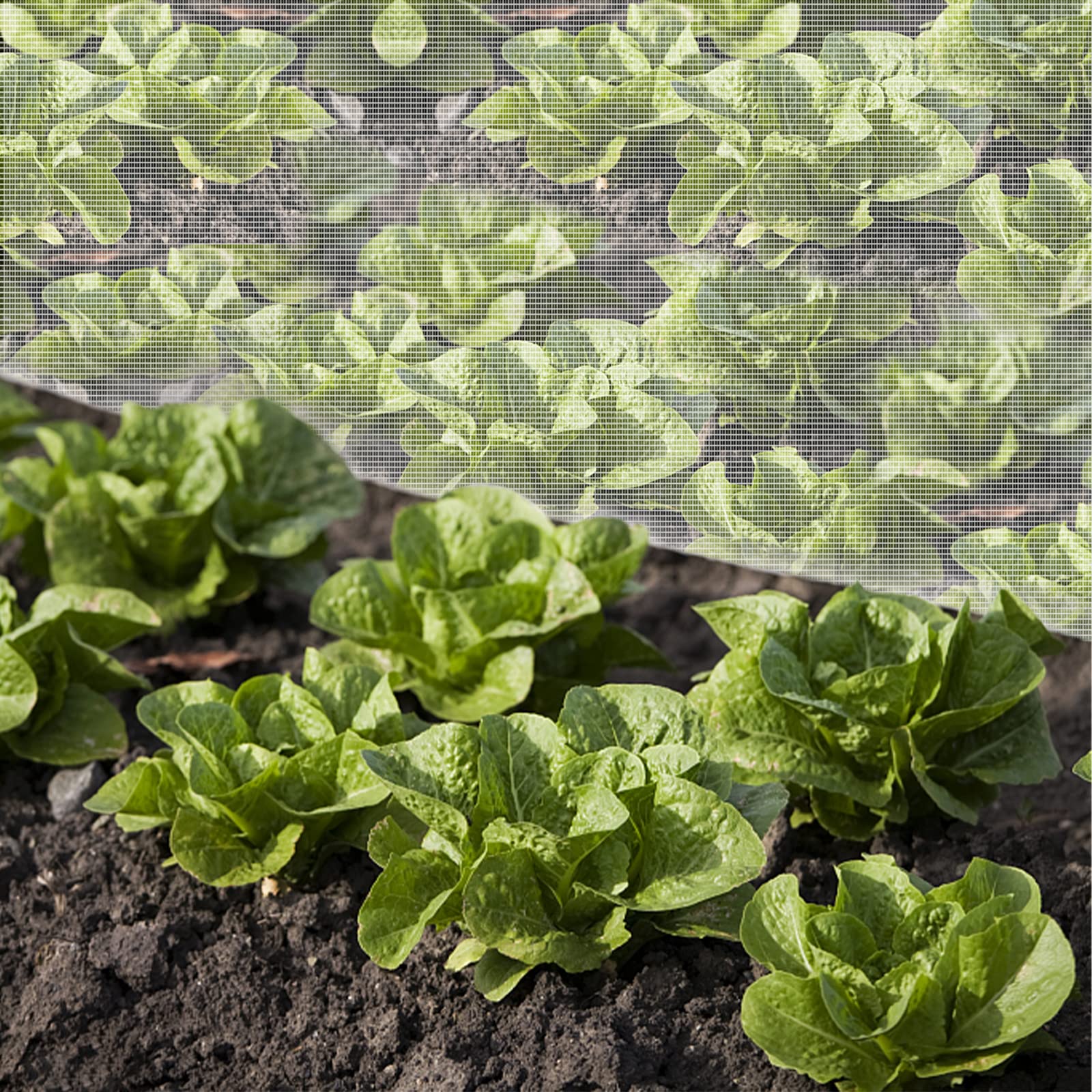 Buy Garden Netting Jsdoin Garden Insect Netting Fine Mesh 1.2 x 5m