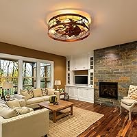 Vista 2 de Caged Ceiling Fan with Light Flush Mount,20in Ceiling Fans with Lights Farmhouse and Remote Control,Rustic Vintage Low Profile Bladeless Enclosed