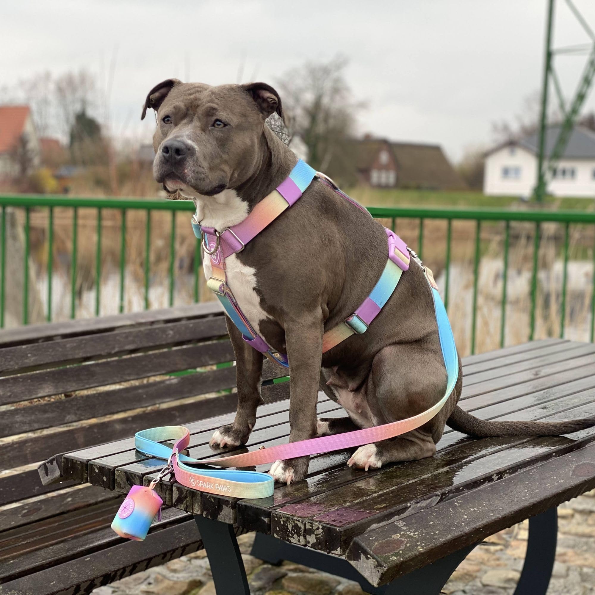 Spark Paws Ensemble laisse et sac à déjections canines de qualité supérieure – Crochet en alliage robuste pour les races puissantes – Confortable, durable et sécurisé – Glaçage pastel